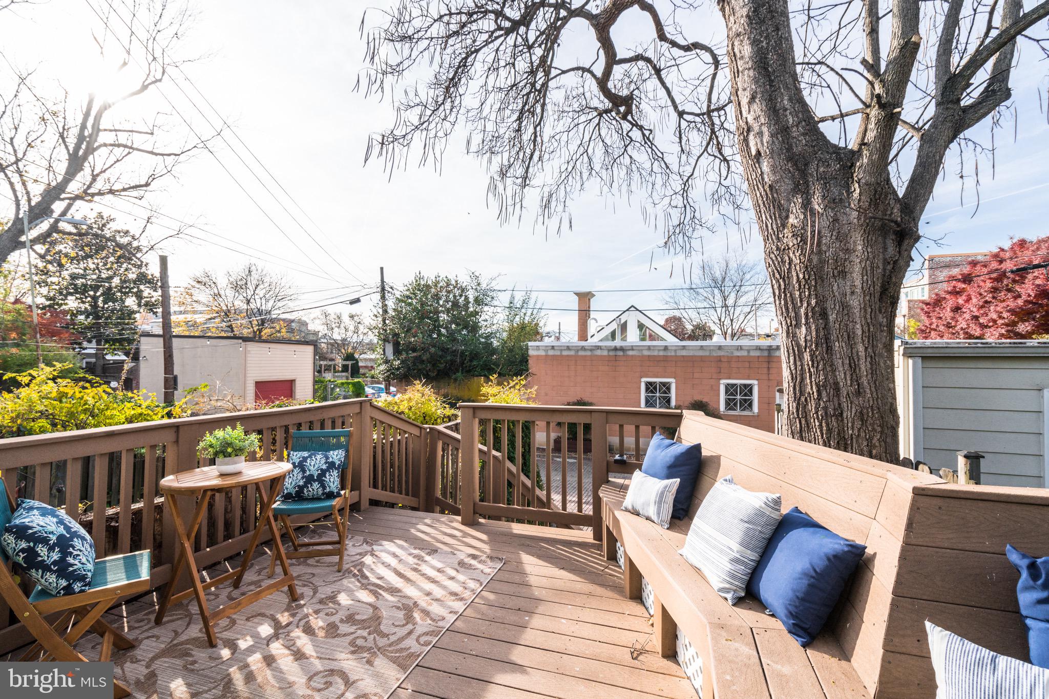317 13th Street Southeast Washington, DC 20003 - Photo 23 of 24 back deck