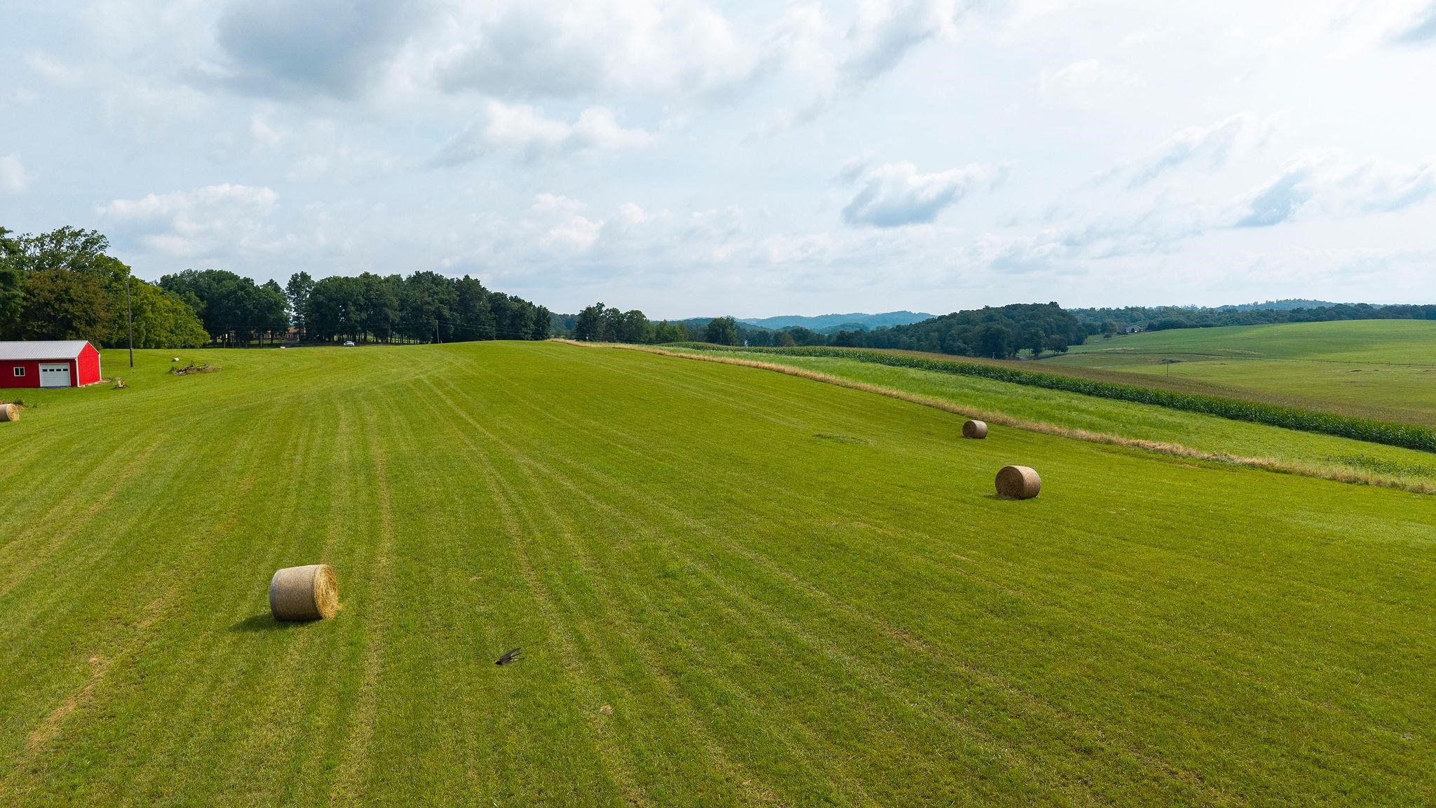 Tbd Stone Branch Road Staunton, VA 24401 - Photo 12 of 34 Gallery Image 12