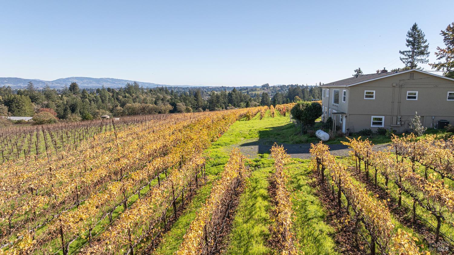 1365 Grandview Road Sebastopol, CA 95472 - Photo 57 of 74