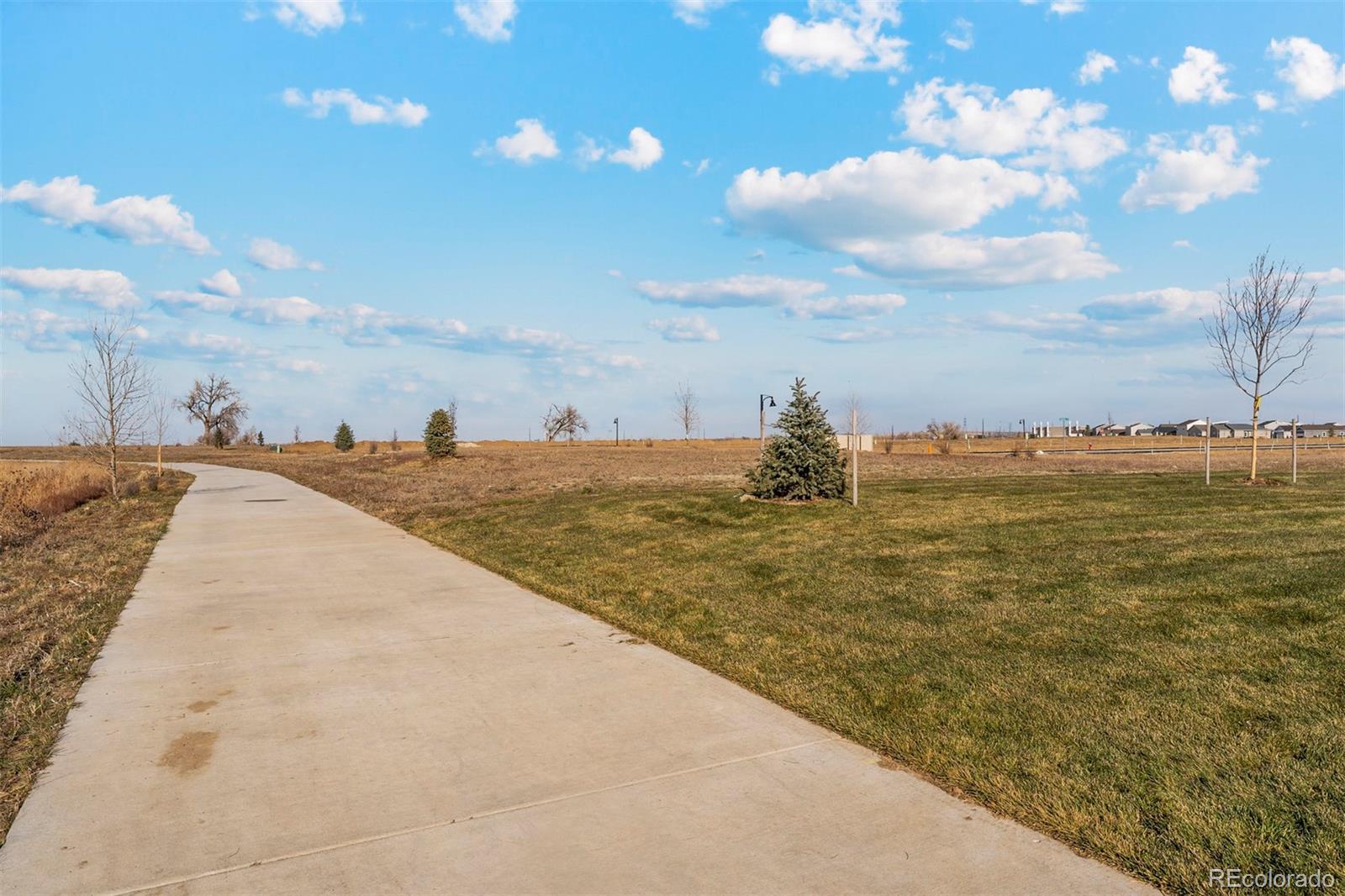 931 Sarah Avenue Fort Lupton, CO 80621 - Photo 25 of 38