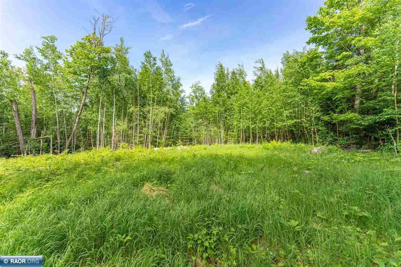 Lot 1 Boulder Ridge Road Hovland, MN 55606 - Photo 3 of 22
