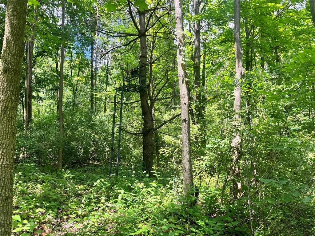 9052 Raspberry Hill Richmond, NY 14466 - Photo 47 of 50 Three tree stands will convey.