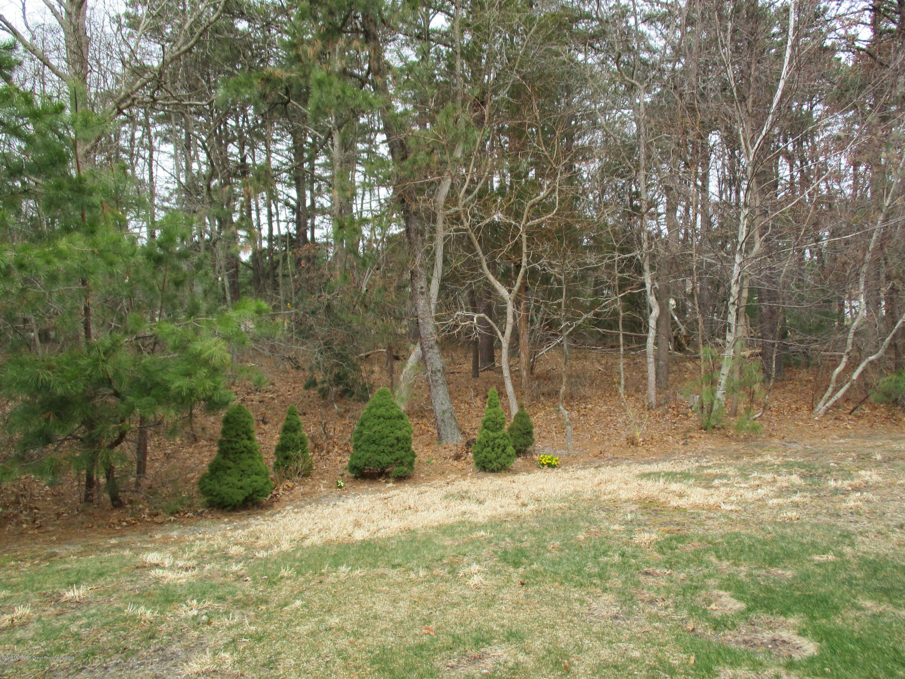 40 Clear Lake Road Whiting, NJ 08759 - Photo 19 of 20 IMG_0150