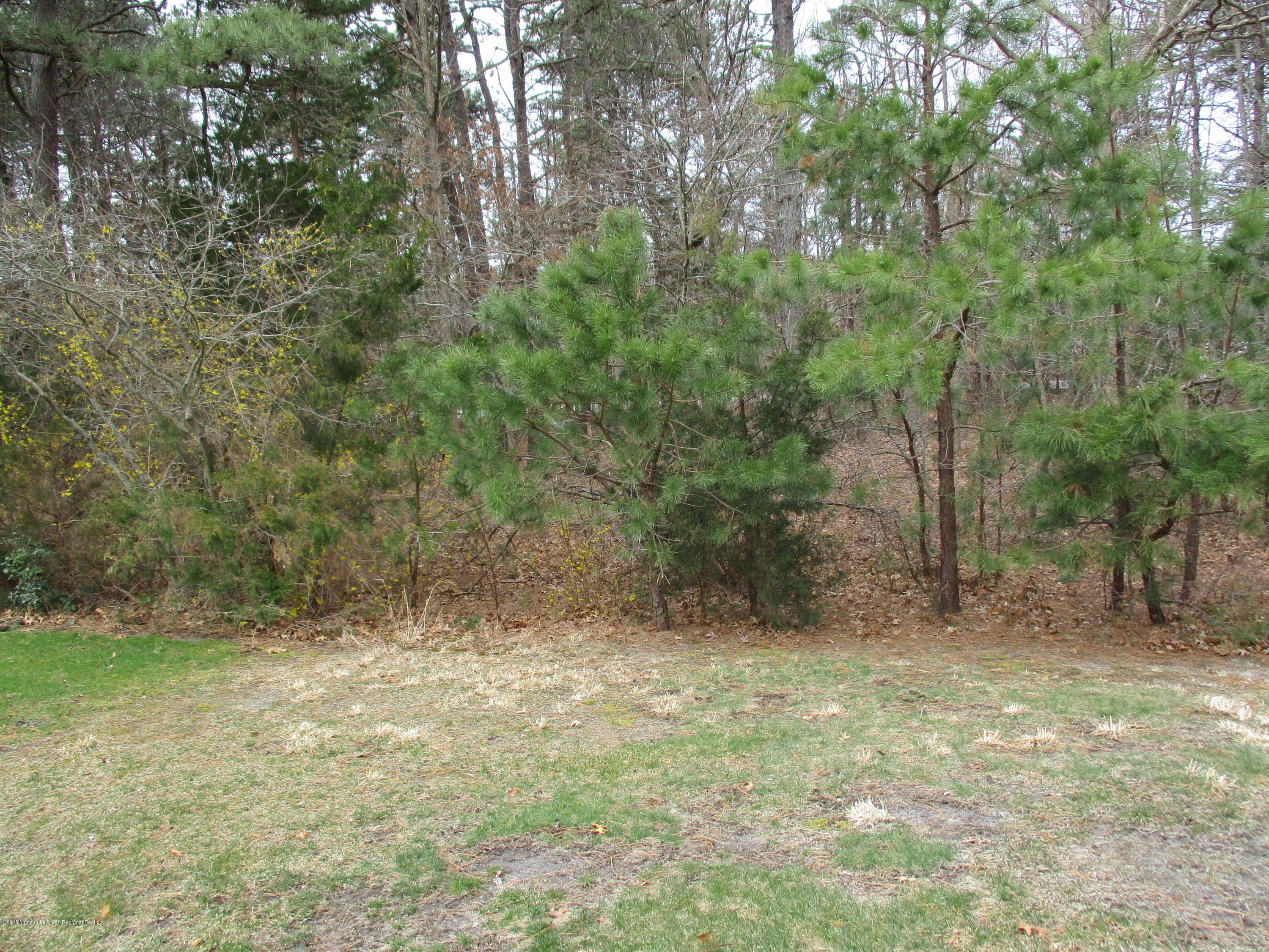 40 Clear Lake Road Whiting, NJ 08759 - Photo 20 of 20 IMG_0151