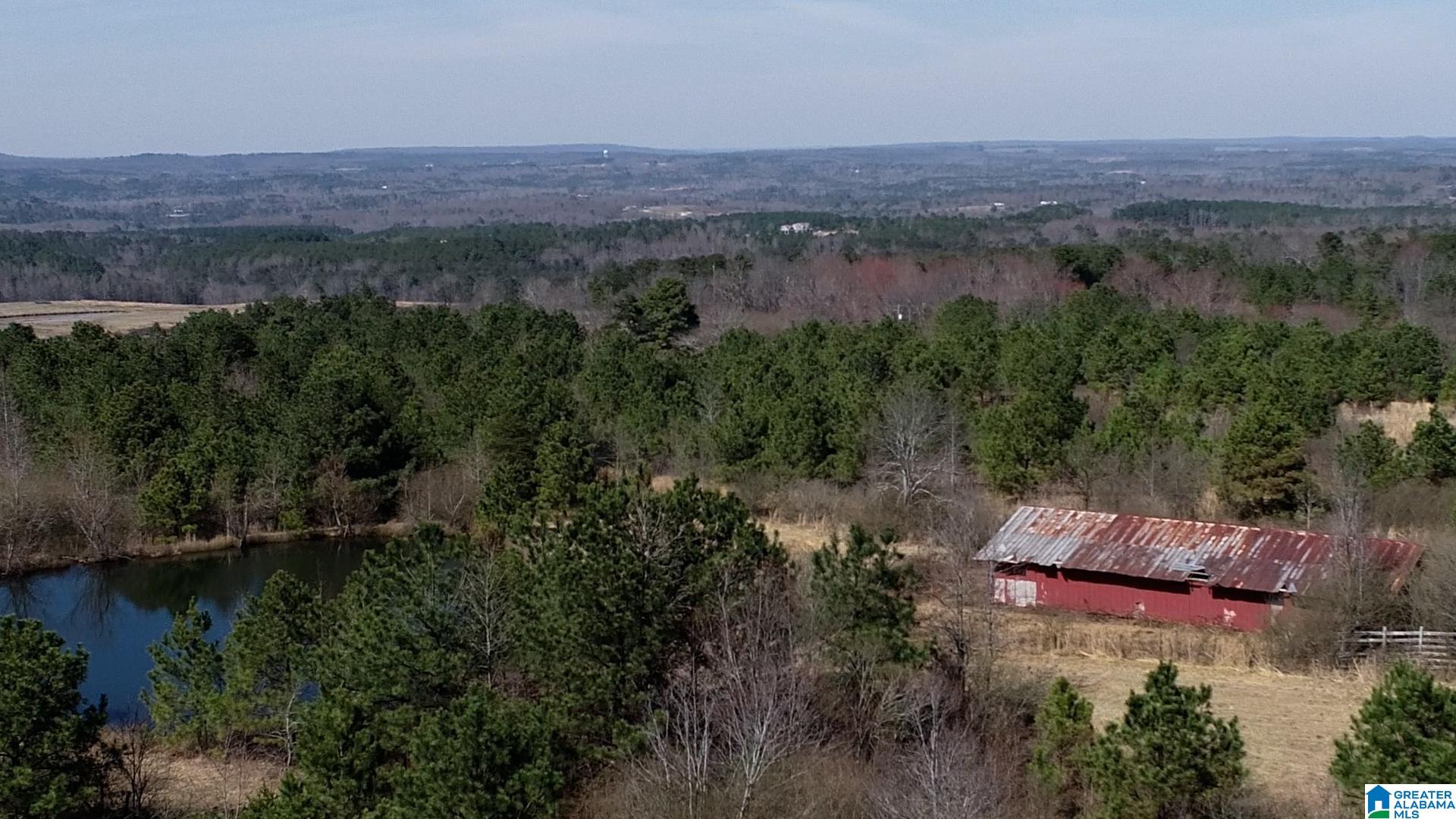 0 Jones Chapel Loop, Unit 20 ACRES Springville, AL 35146 - Photo 6 of 13