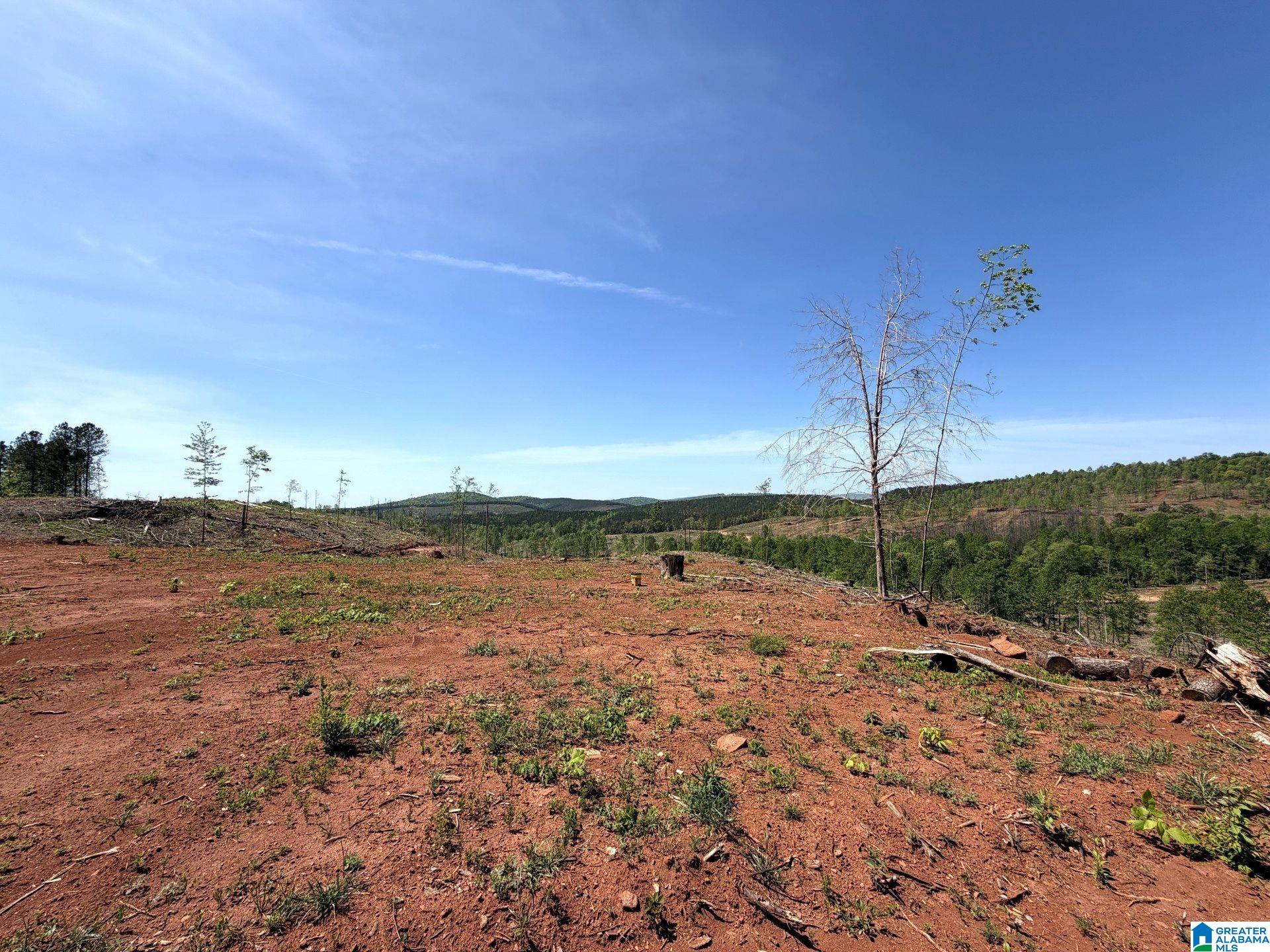 Mines Road, Unit 218 Talladega, AL 35160 - Photo 6 of 21 Gallery Image 6