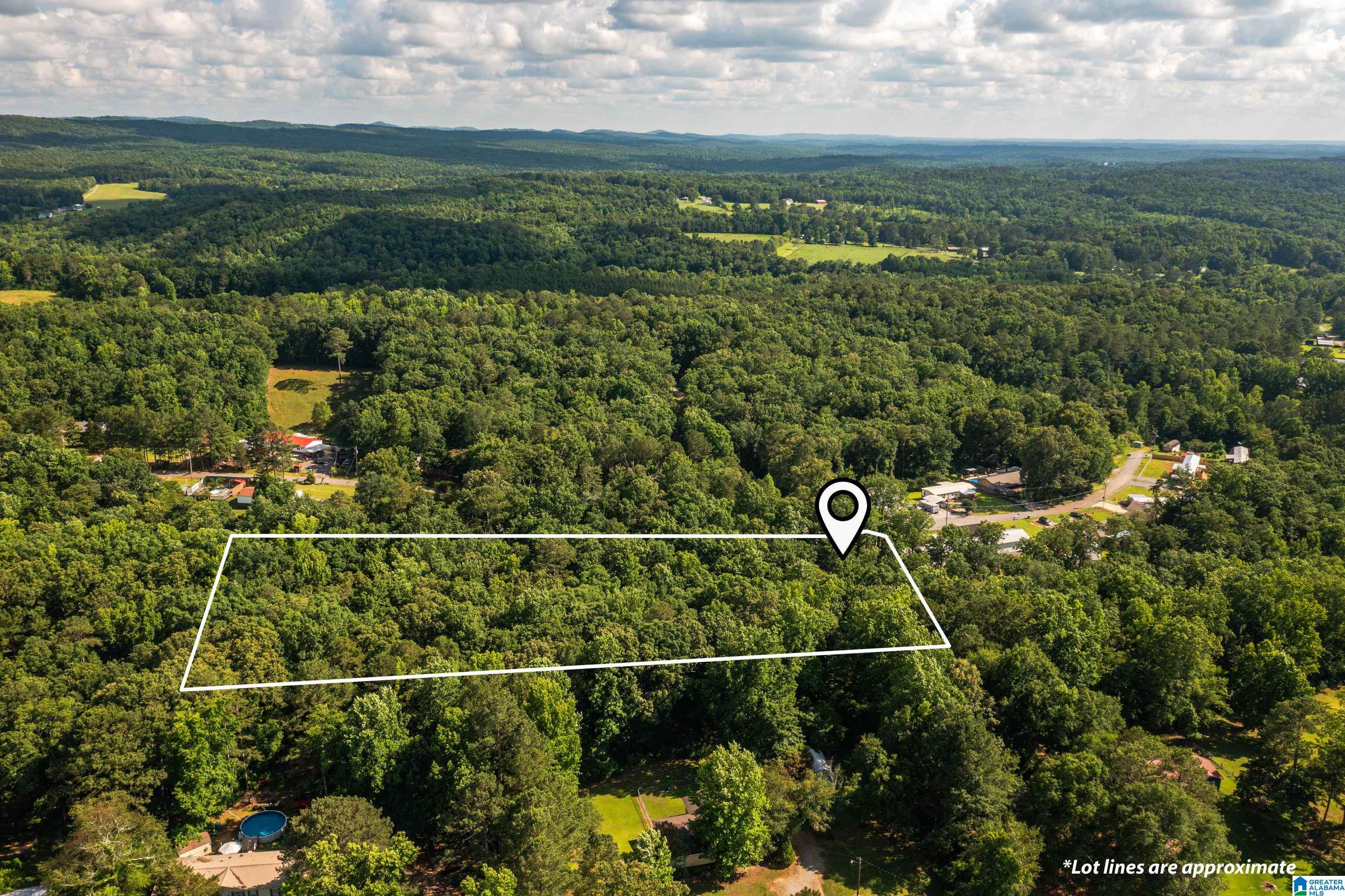 650 Davidson Drive Locust Fork, AL 35097 - Photo 5 of 55
