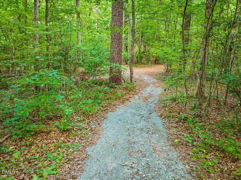 275 Mill Stone Road Moncure, NC 27559 - Photo 74 of 95