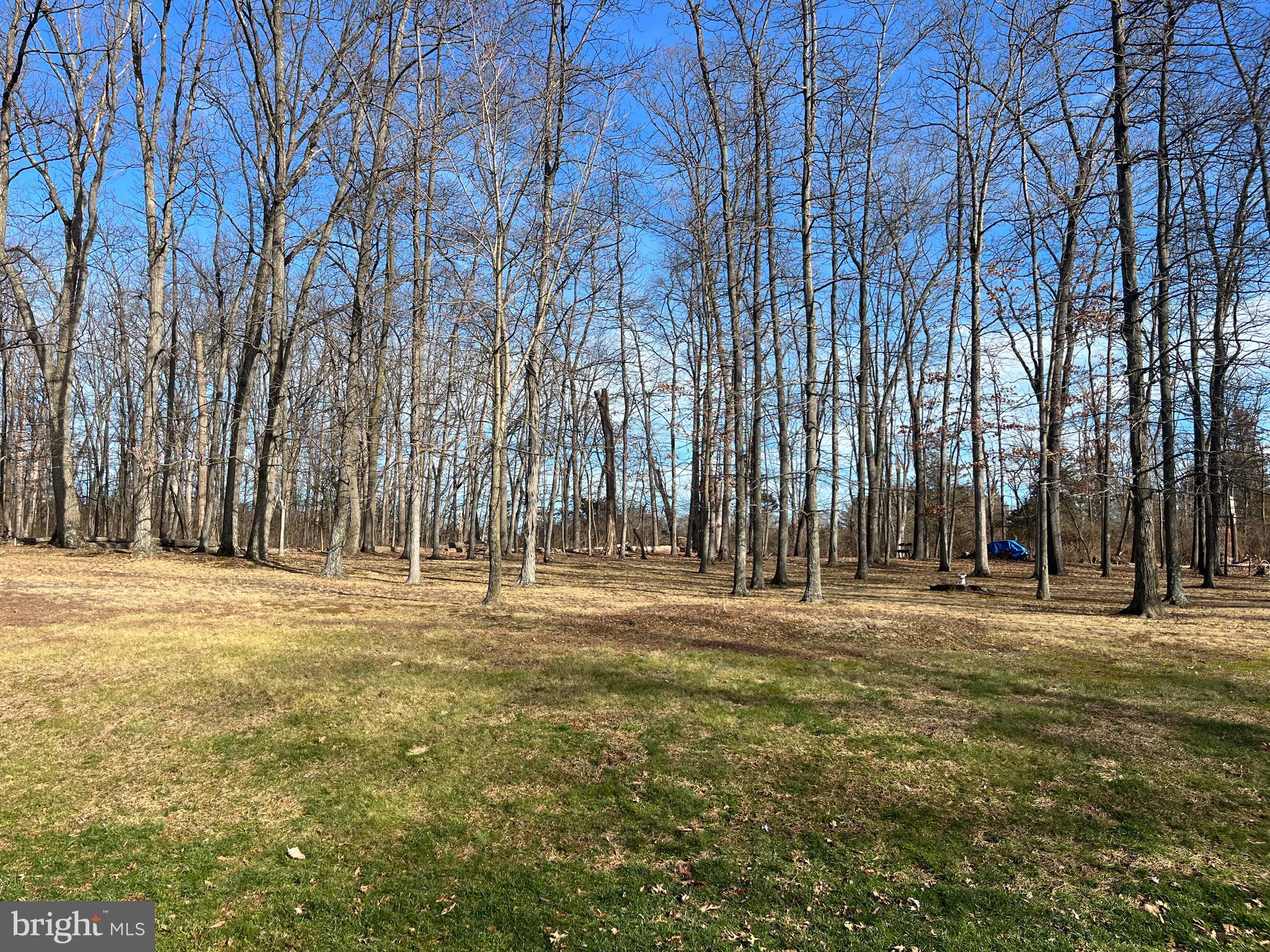 2428 Gramm Road Pennsburg, PA 18073 - Photo 48 of 54 Backyard