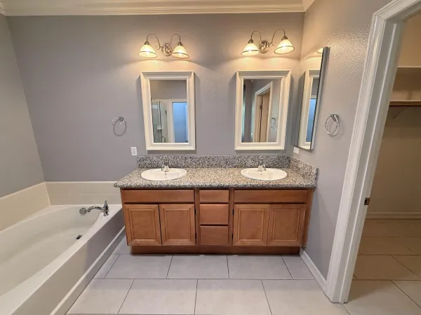 a bathroom with a tub a double vanity sink and a mirror