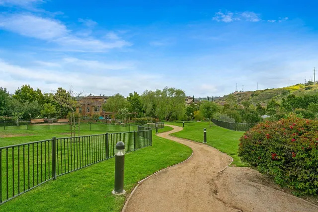 a view of a park with large trees