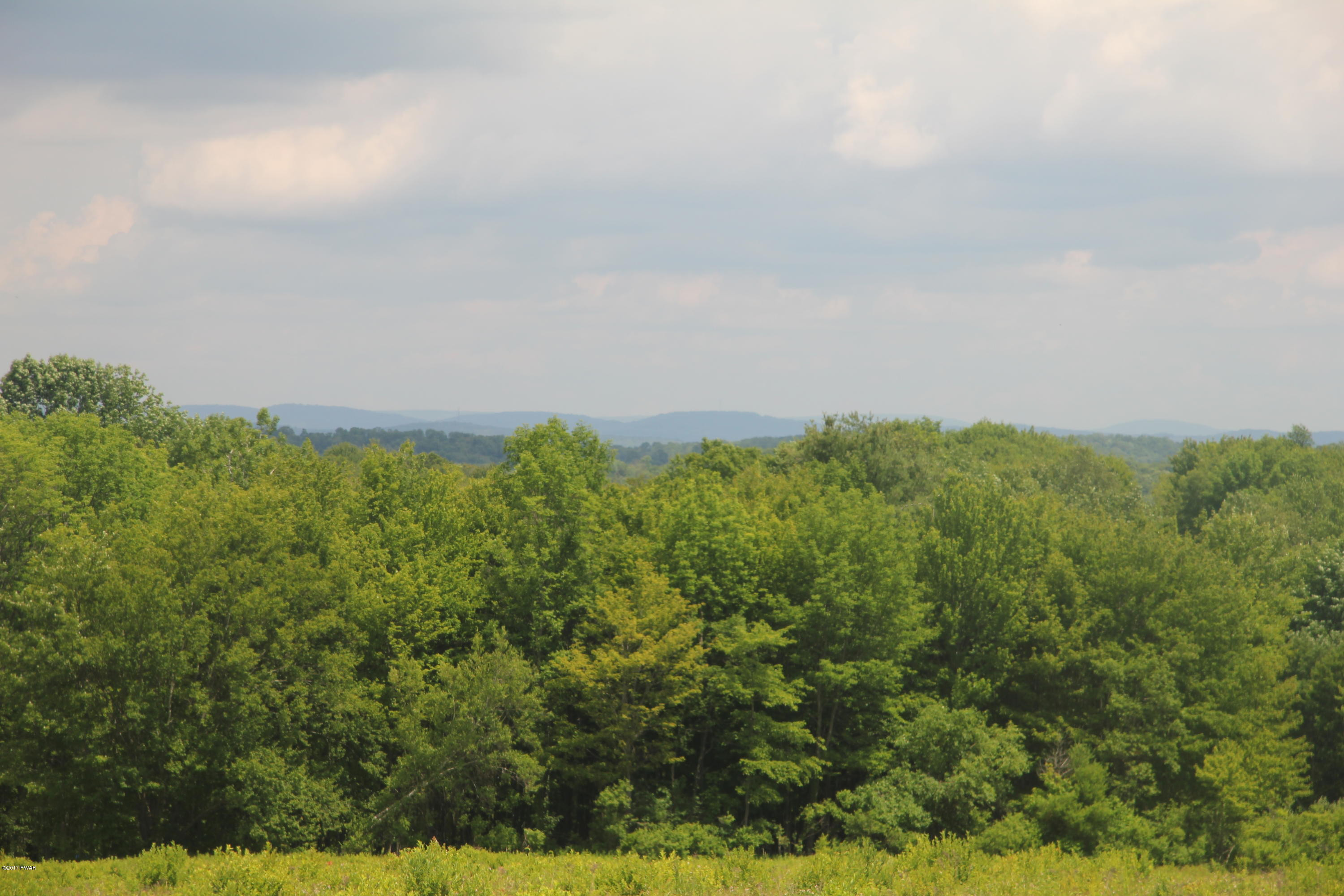 162 Rodenburg Road Equinunk, PA 18417 - Photo 13 of 31