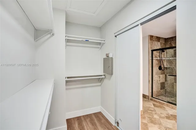 a view of a bunch of flowers