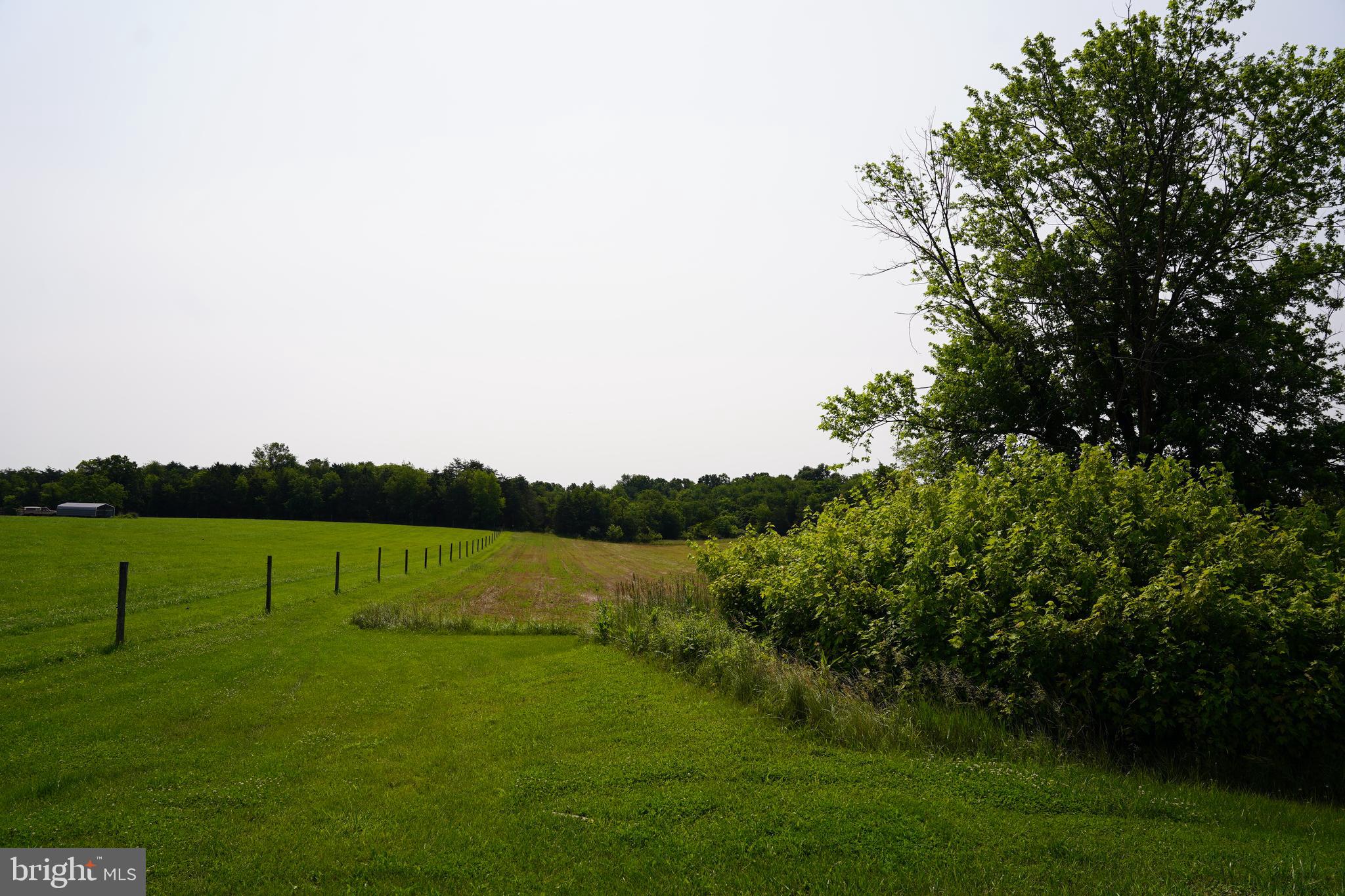 80 Kaiser Lane Inwood, WV 25428 - Photo 2 of 11 a view of park with green space