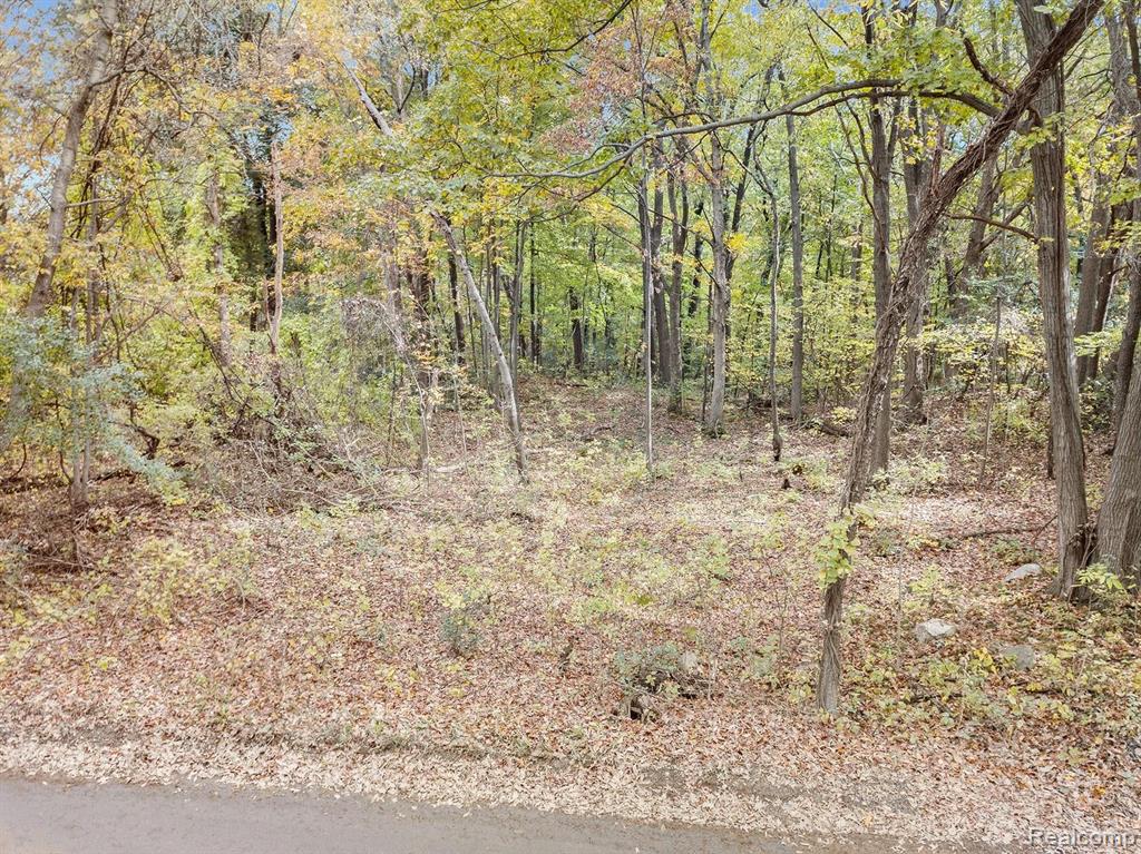 0 Foster Road Pontiac, MI 48342 - Photo 1 of 10
