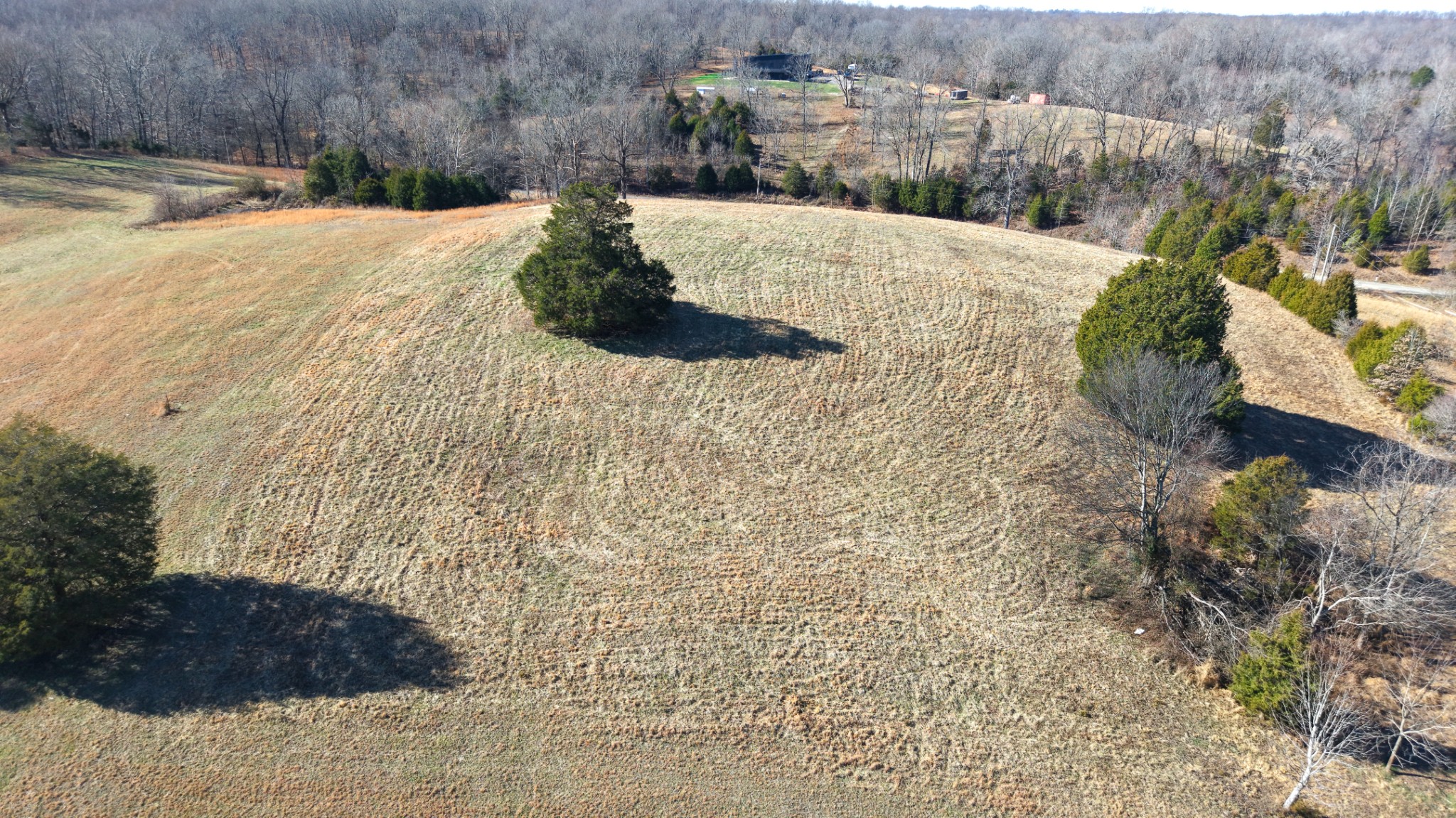 1 West Dry Hollow Road Dickson, TN 37055 - Photo 12 of 15