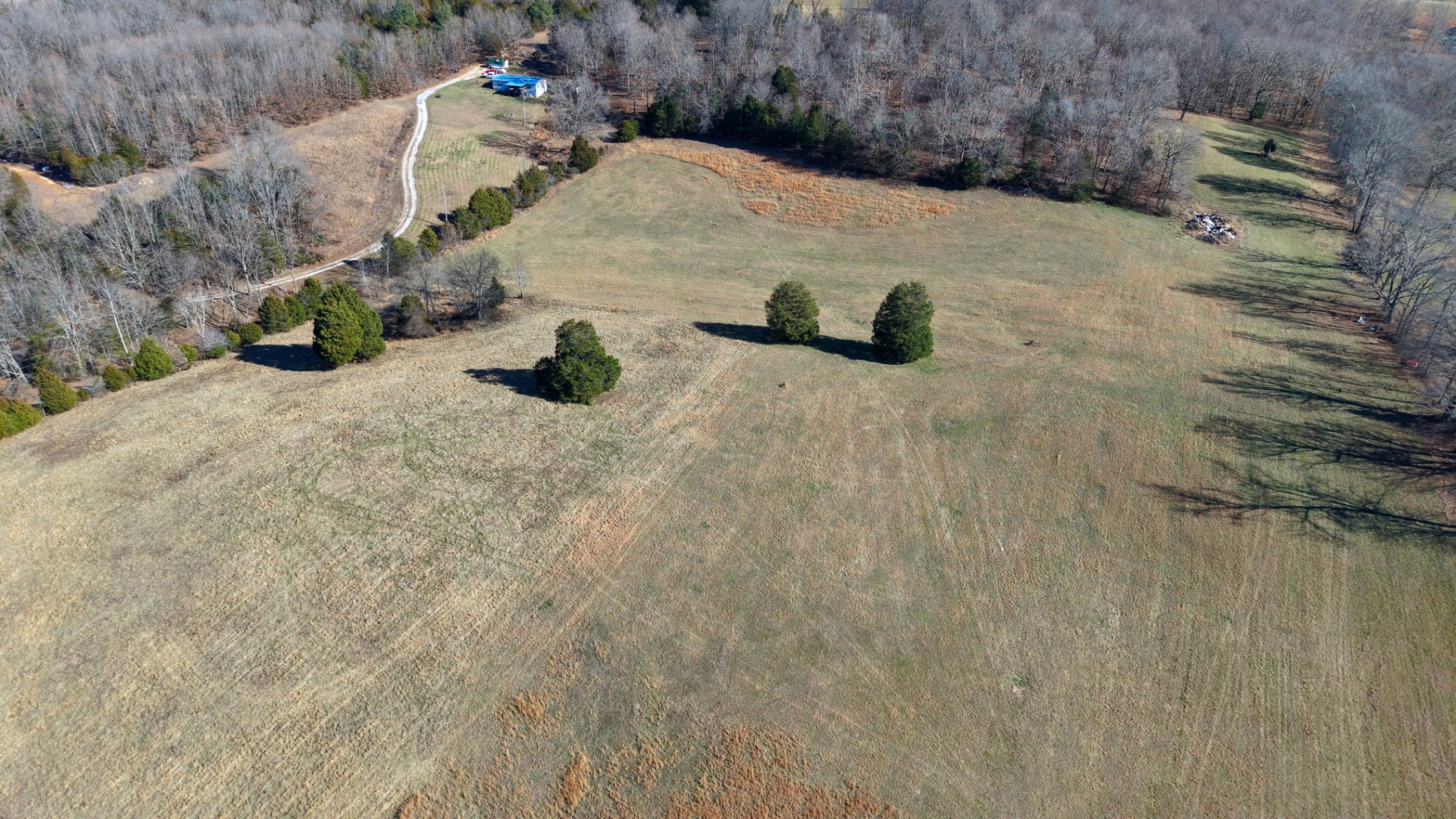 1 West Dry Hollow Road Dickson, TN 37055 - Photo 7 of 15
