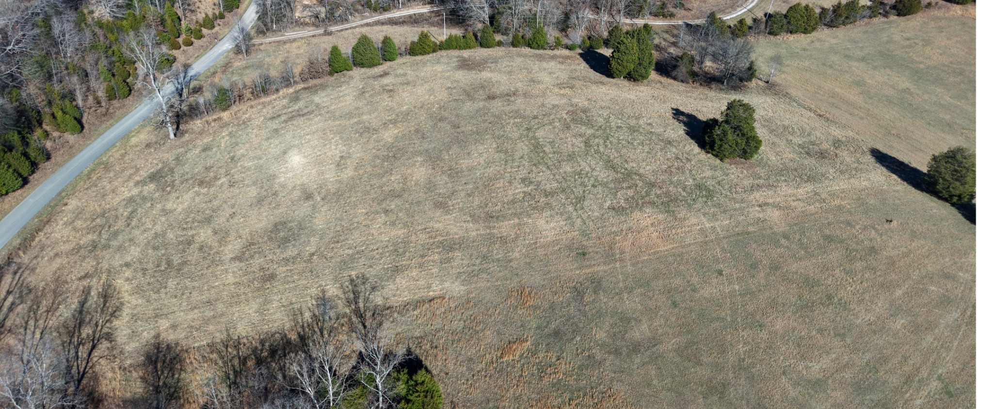 1 West Dry Hollow Road Dickson, TN 37055 - Photo 9 of 15