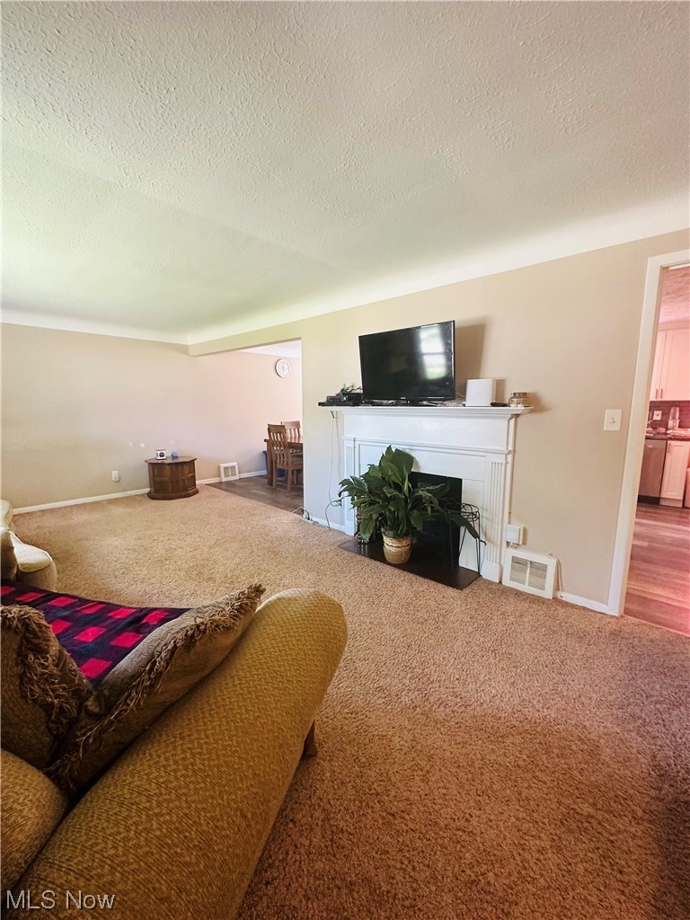 3894 Salisbury Road South Euclid, OH 44121 - Photo 3 of 16 Carpeted living room featuring a fireplace and a textured ceiling
