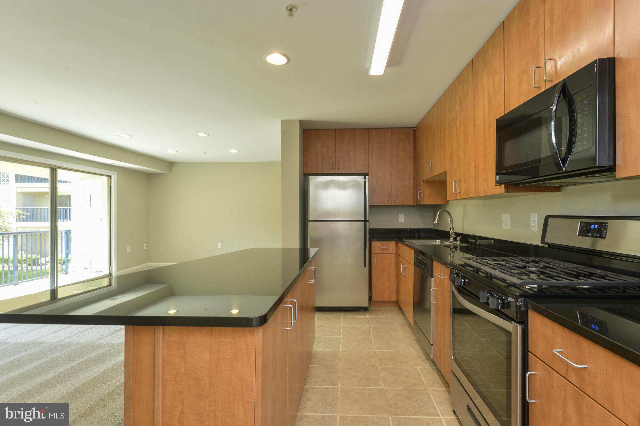 1002 Primrose Road, Unit 202 Annapolis, MD 21403 - Photo 5 of 30 Spacious Kitchen w/Granite