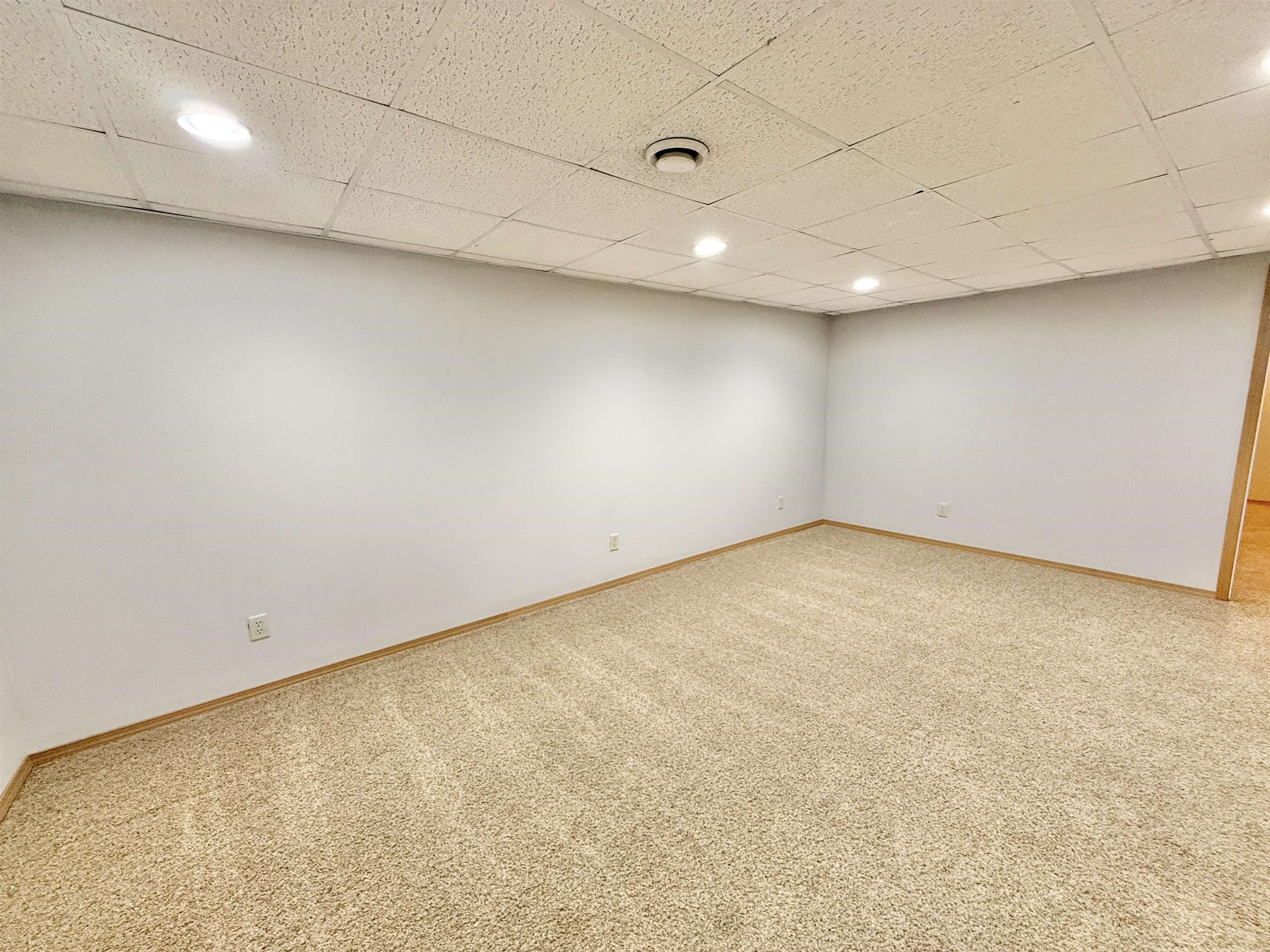 11008 Chicory Ridge Way Roscoe, IL 61073 - Photo 37 of 45 an empty room with a projector and cabinets