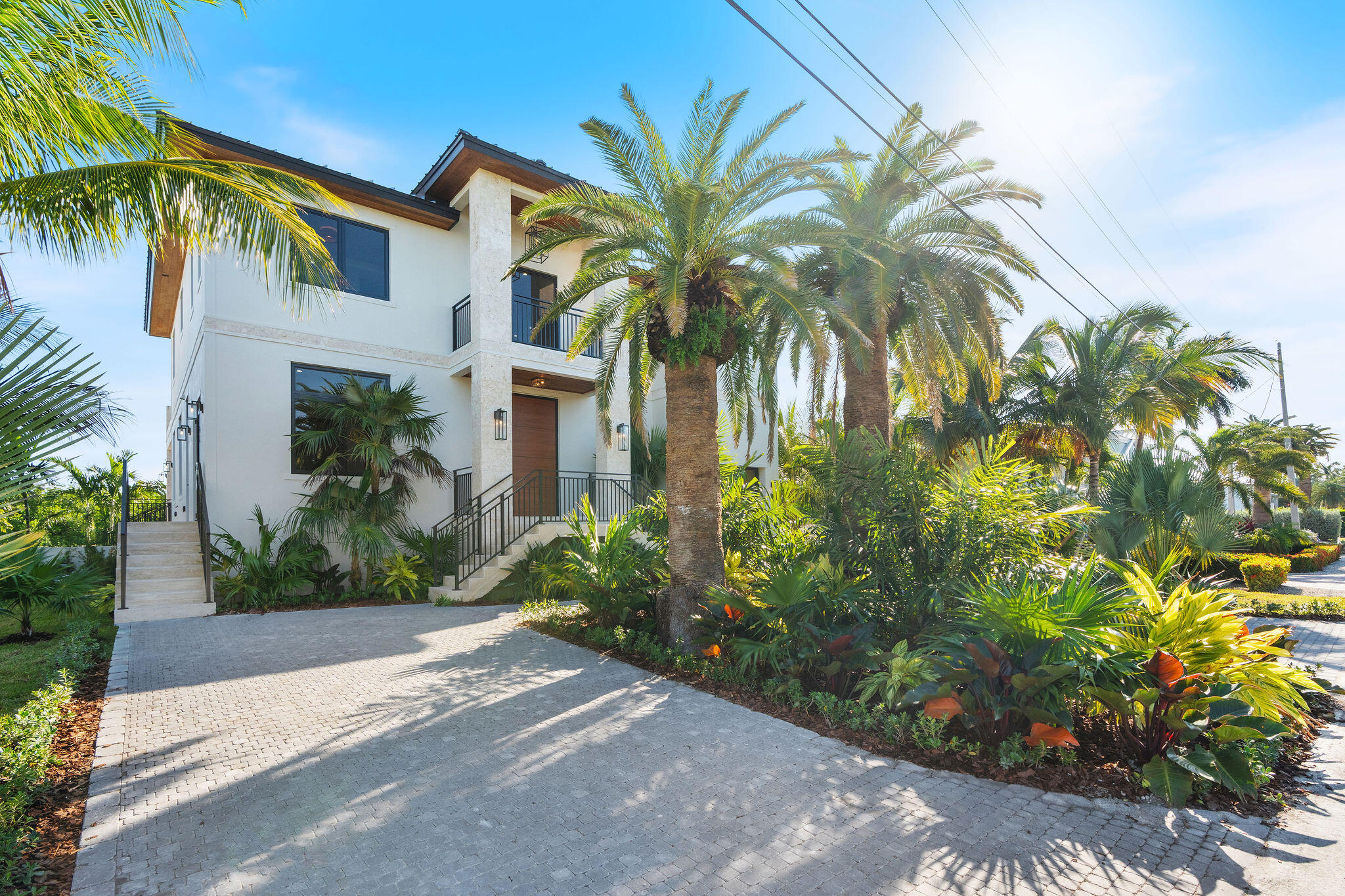 a couple of palm trees in front of house