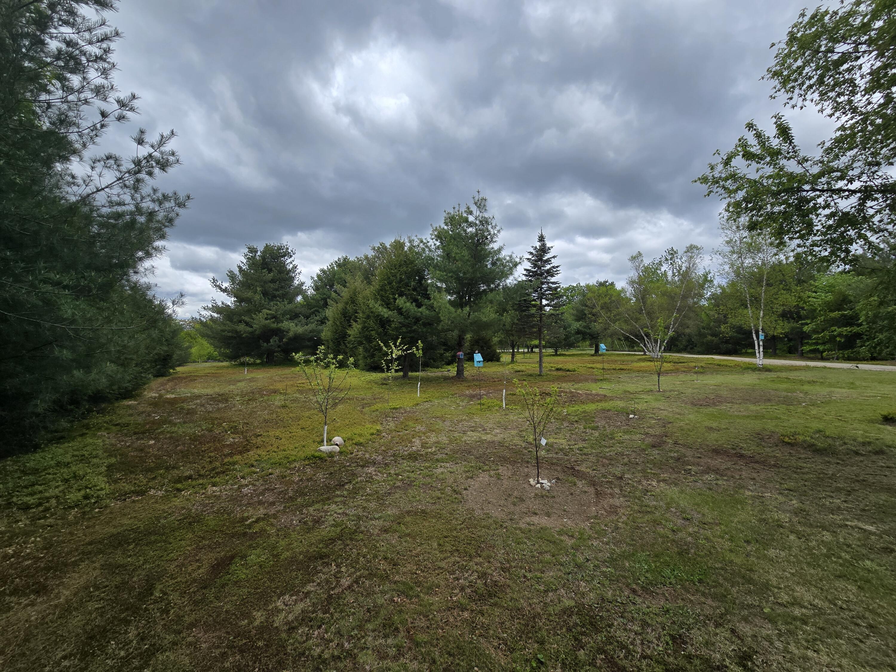 13 Bishop Farm Road Brownfield, ME 04010 - Photo 47 of 50 20250521_144952