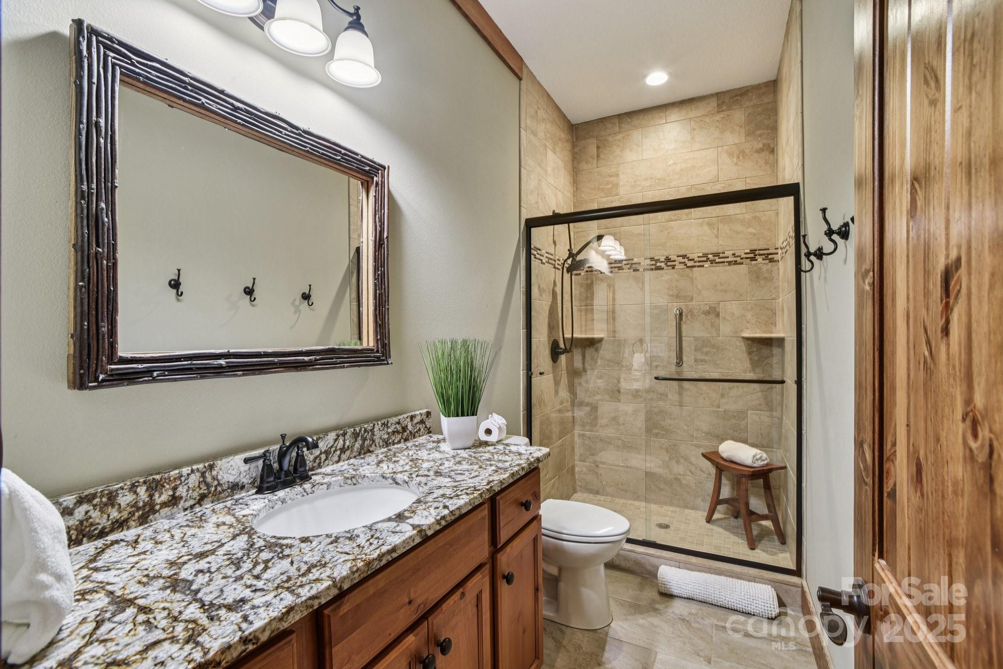 71 Raptor Way Sapphire, NC 28774 - Photo 30 of 46 a bathroom with a granite countertop sink a toilet and a mirror