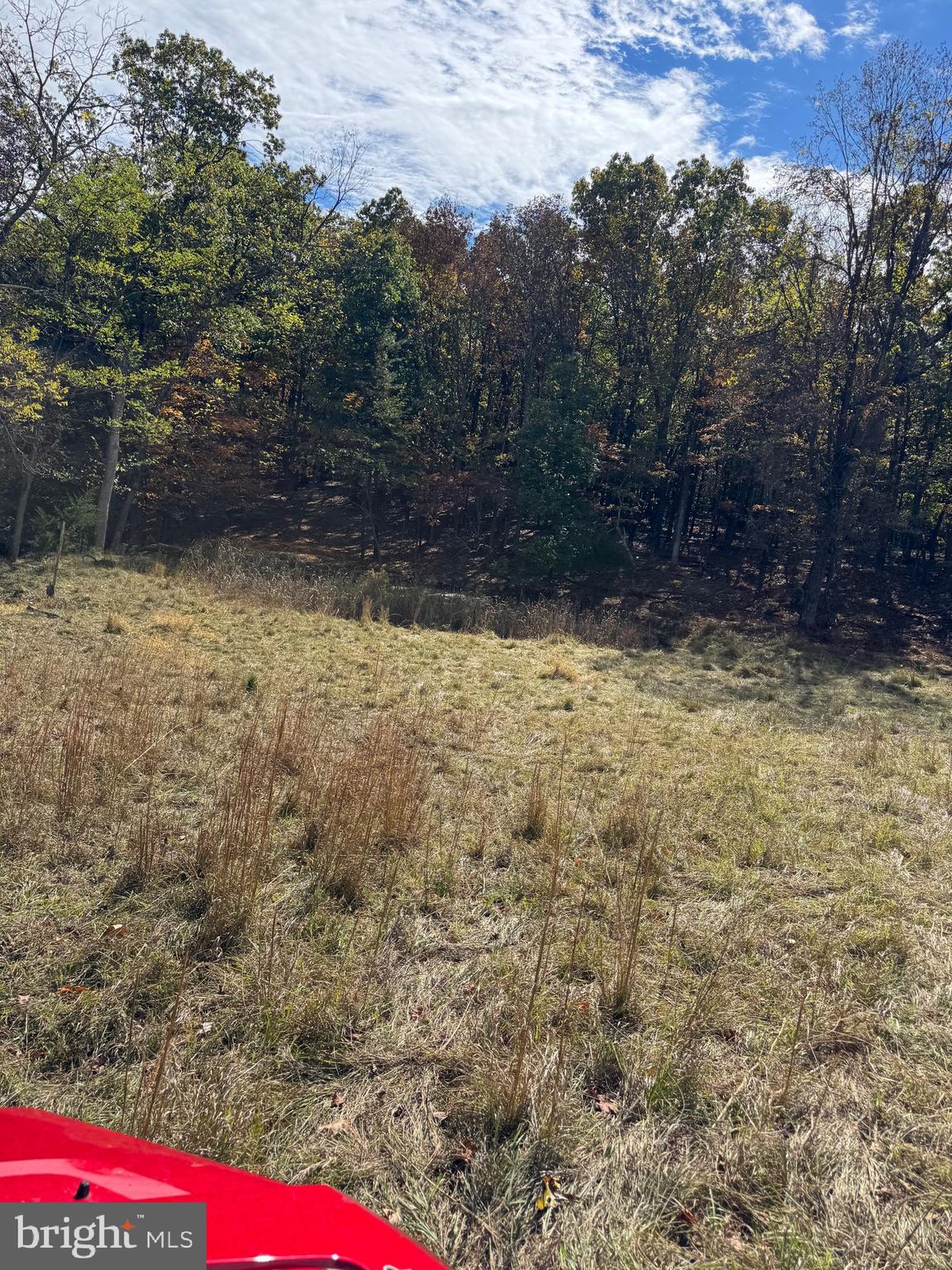 781 Dunmore Road Petersburg, WV 26847 - Photo 31 of 35