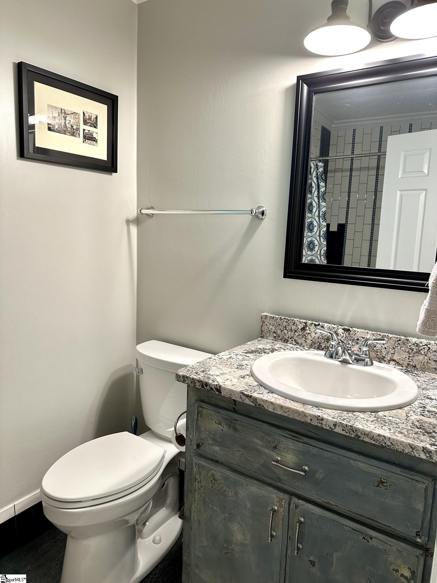 304 Hunting Hill Circle Greer, SC 29650 - Photo 25 of 36