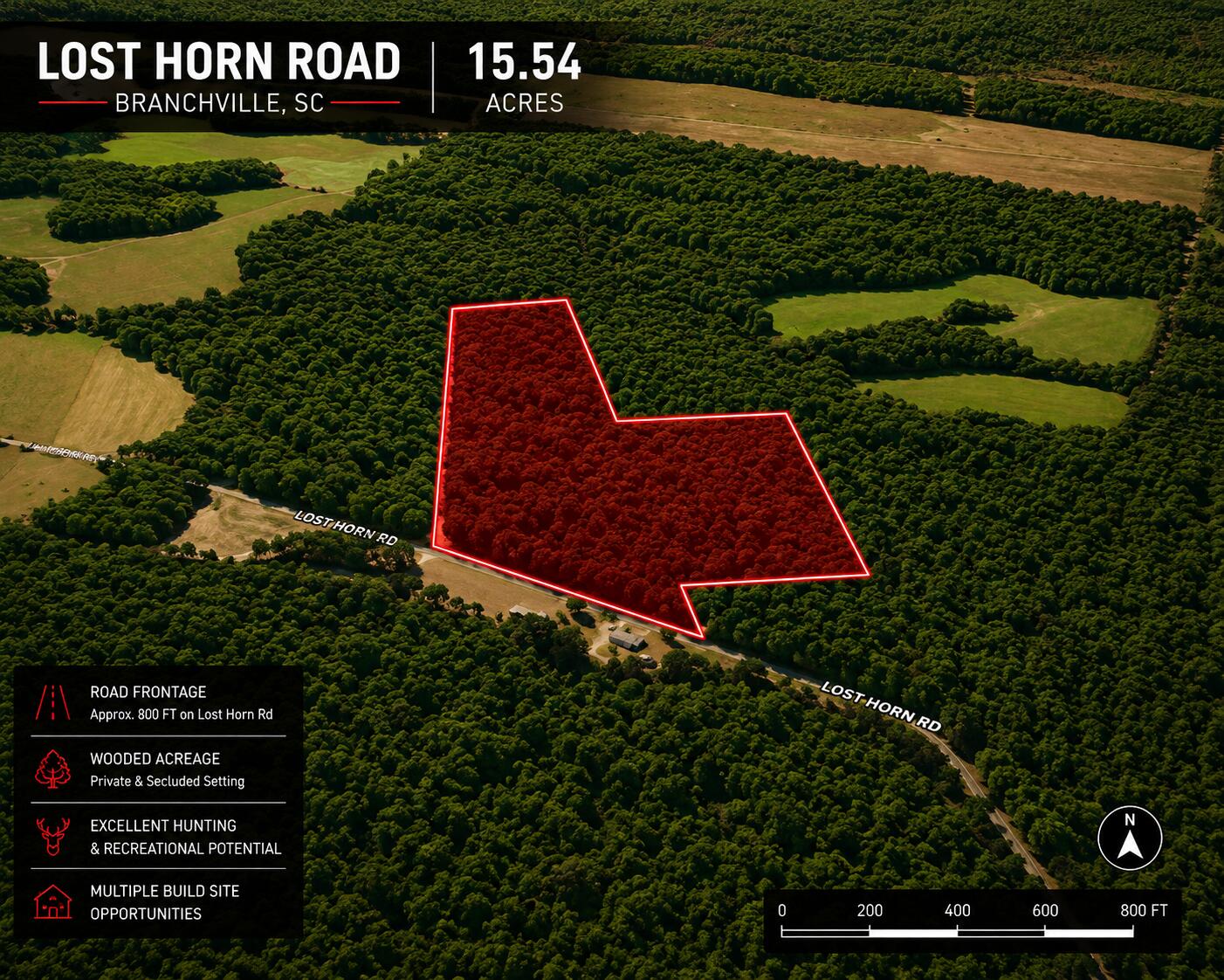 1 Lost Horn Road Reevesville, SC 29471 - Photo 5 of 11 l5