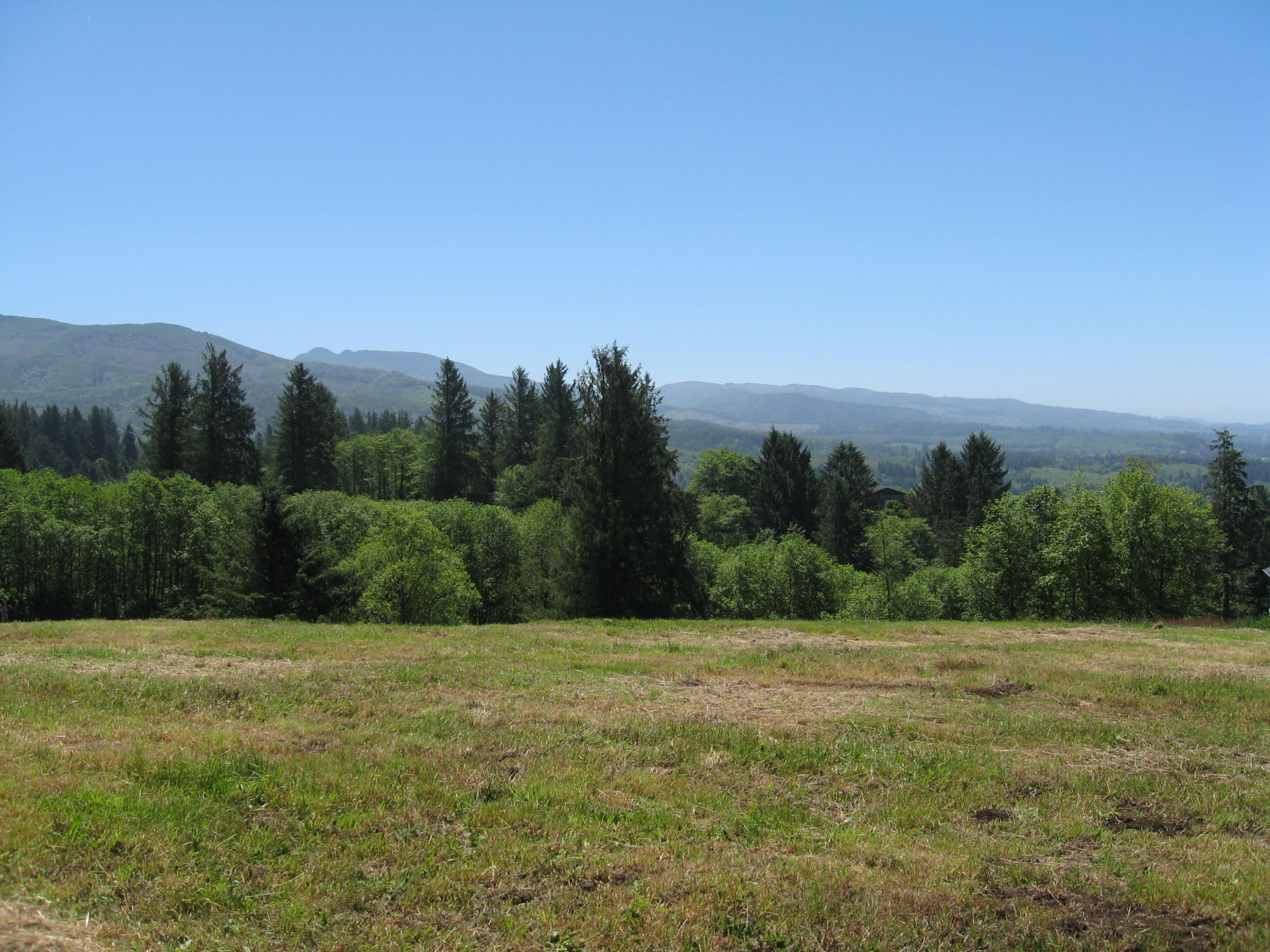 Lot Skyview Lot Skyview Road Tillamook, OR 97141 - Photo 13 of 20 010