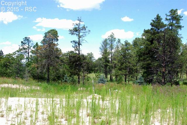 13150 Frank Road Colorado Springs, CO 80908 - Photo 15 of 21