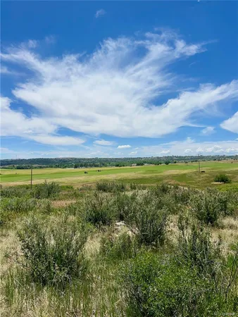 a view of a field with an ocean