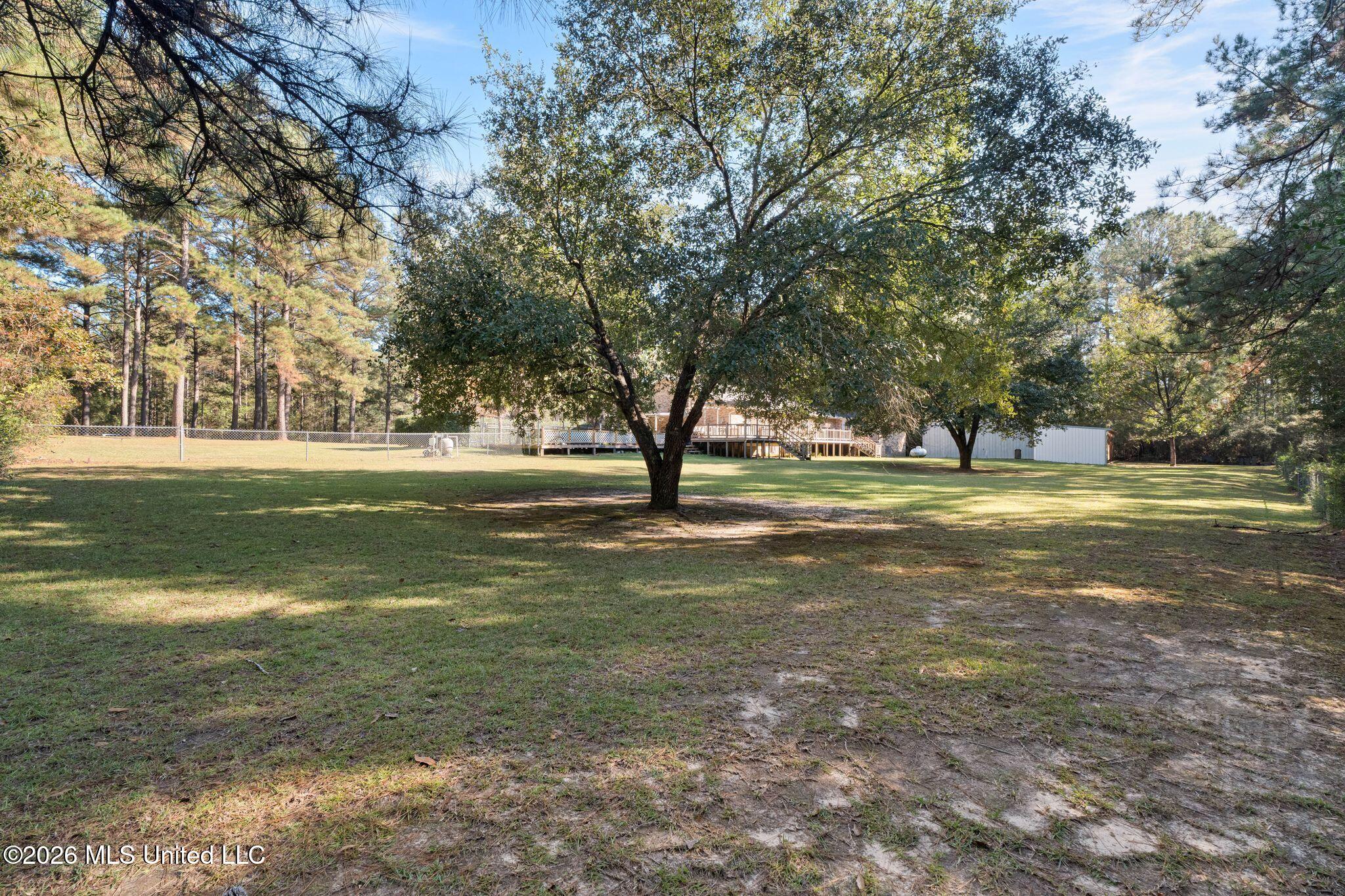 86 Haddox Road Columbia, MS 39429 - Photo 46 of 60 86_Haddox_Rd-46