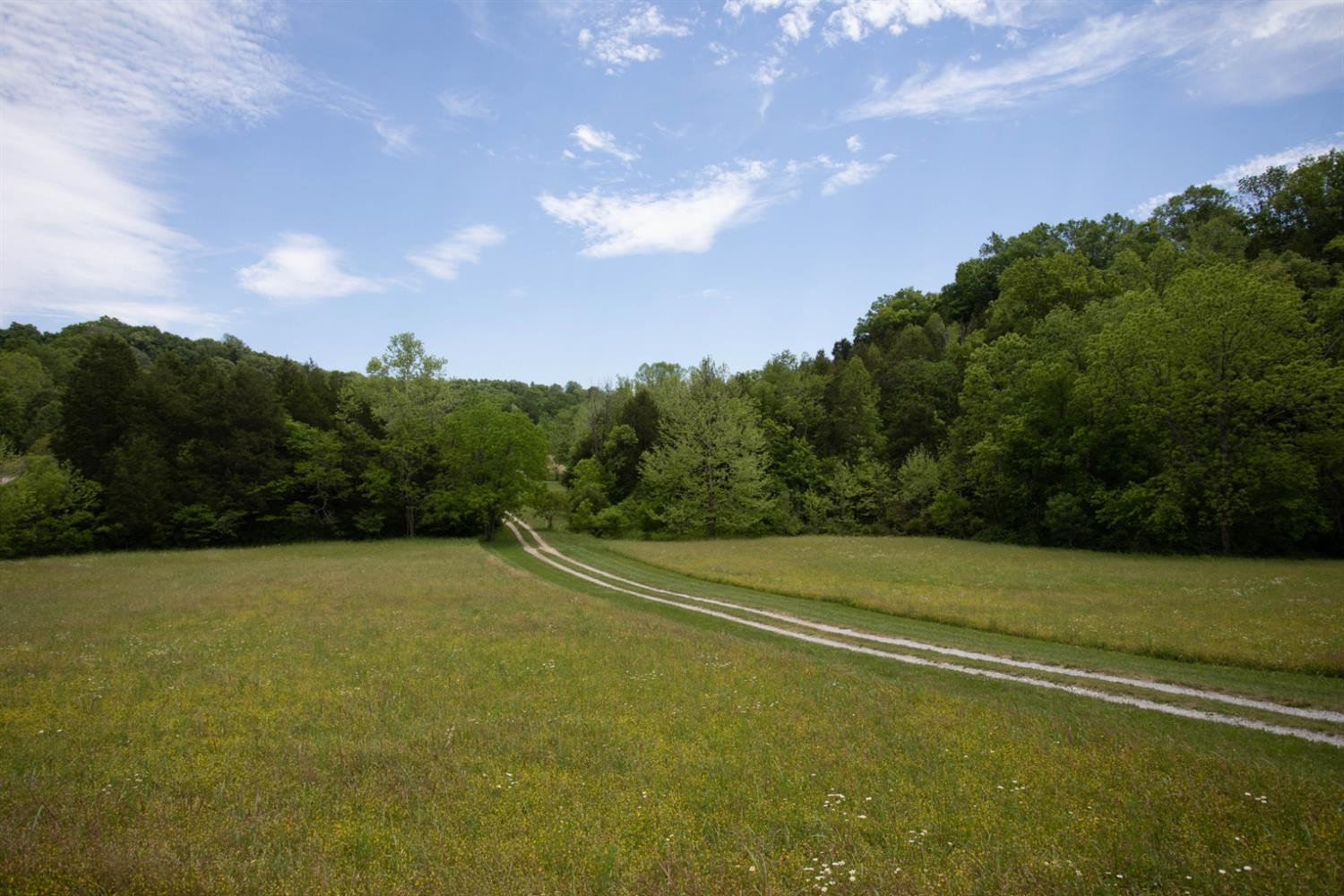 801 Vienna Road Winchester, KY 40391 - Photo 46 of 52 Photo 46