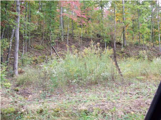 415 Mans Hollow Road Kingston, TN 37763 - Photo 3 of 5 Additional Photo