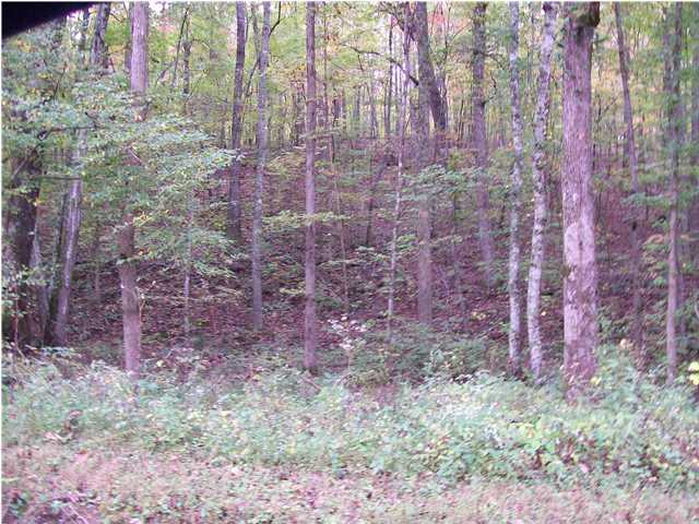 415 Mans Hollow Road Kingston, TN 37763 - Photo 4 of 5 Additional Photo