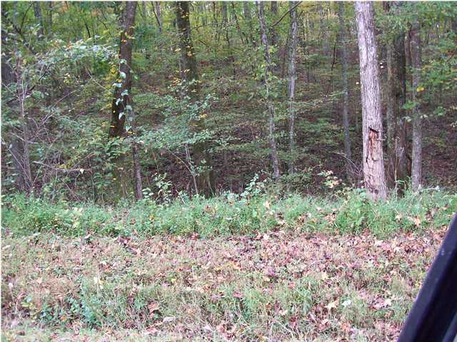 415 Mans Hollow Road Kingston, TN 37763 - Photo 5 of 5 Additional Photo