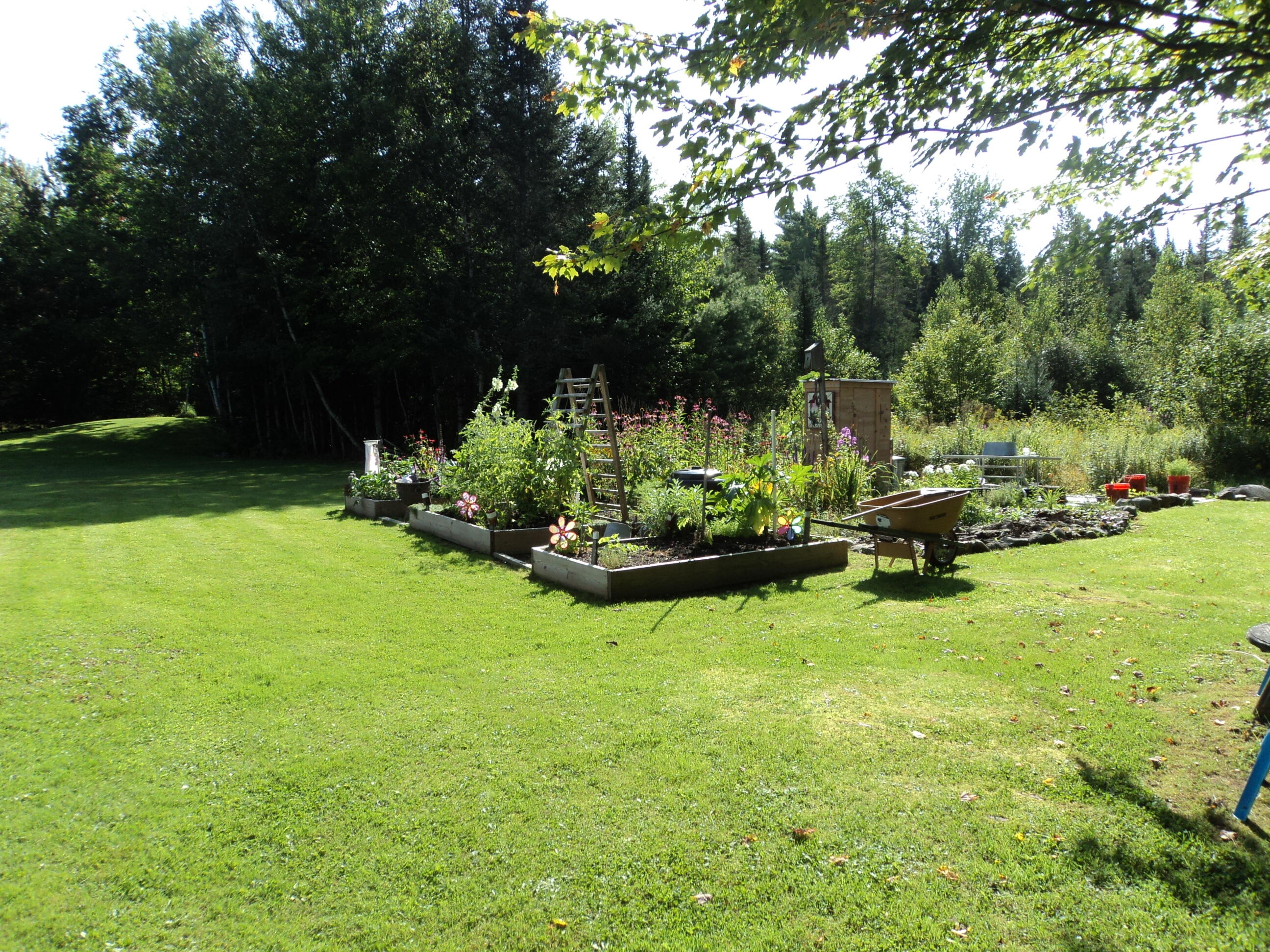 677 Hartland Road Canaan, ME 04924 - Photo 19 of 21 DSC00805