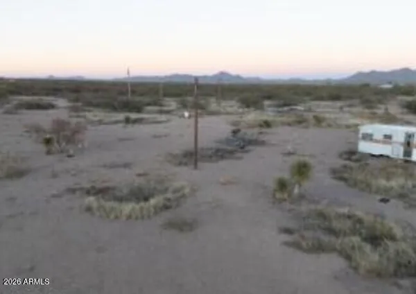 a view of a dry yard with trees