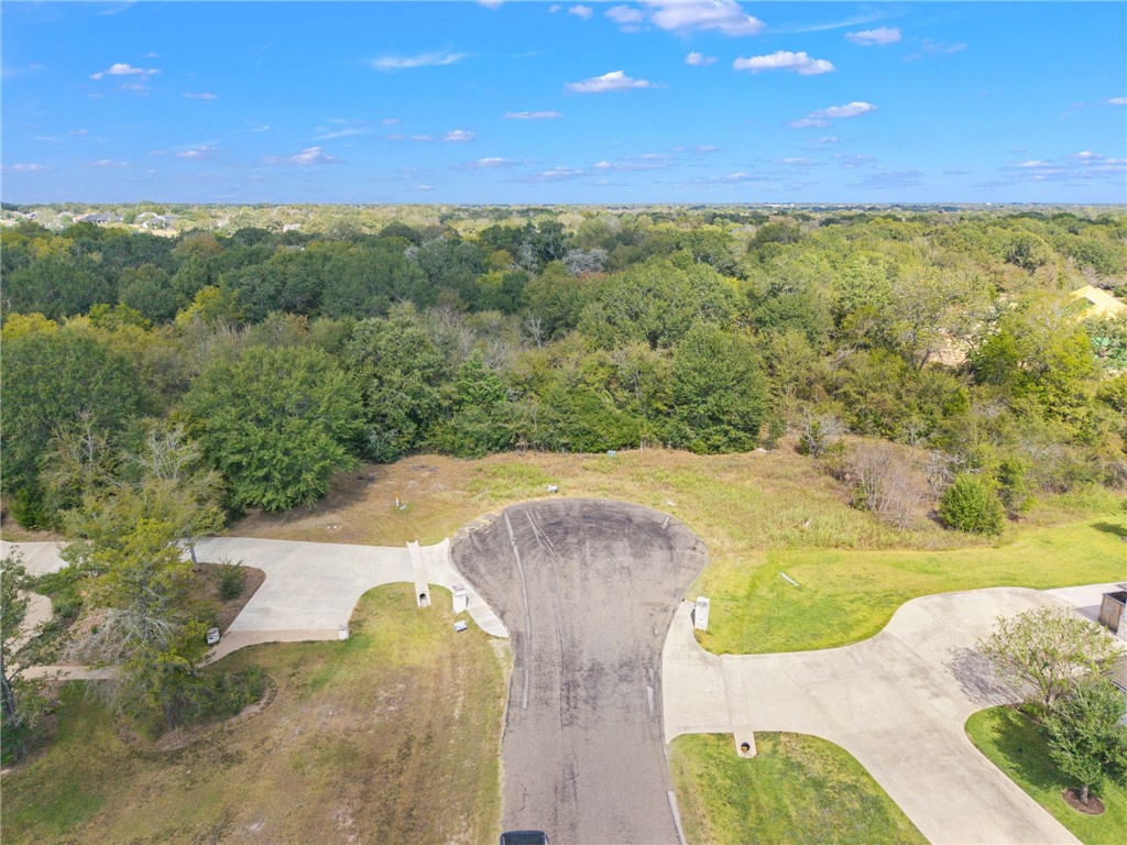 6488 Olivia Trail Bryan, TX 77808 - Photo 2 of 10 a view of a city