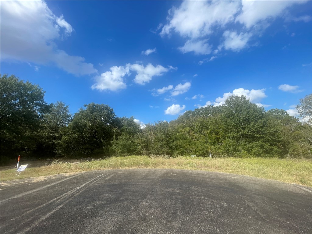 6488 Olivia Trail Bryan, TX 77808 - Photo 4 of 10 a view of a yard with flower plants and large tree