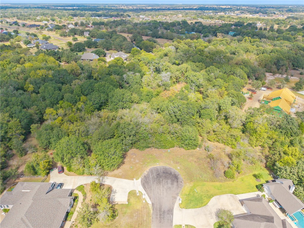 6488 Olivia Trail Bryan, TX 77808 - Photo 6 of 10 a view of lake view and mountain view