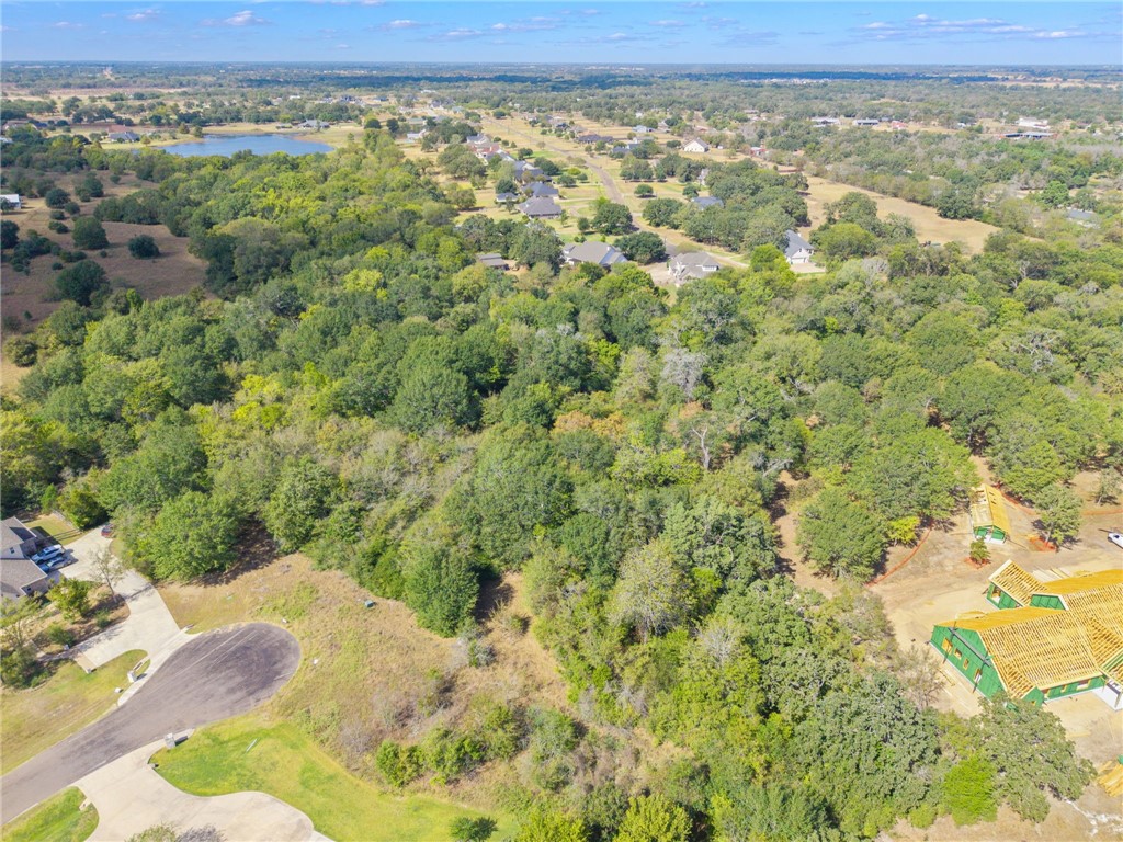 6488 Olivia Trail Bryan, TX 77808 - Photo 8 of 10 a view of a yard with an outdoor space