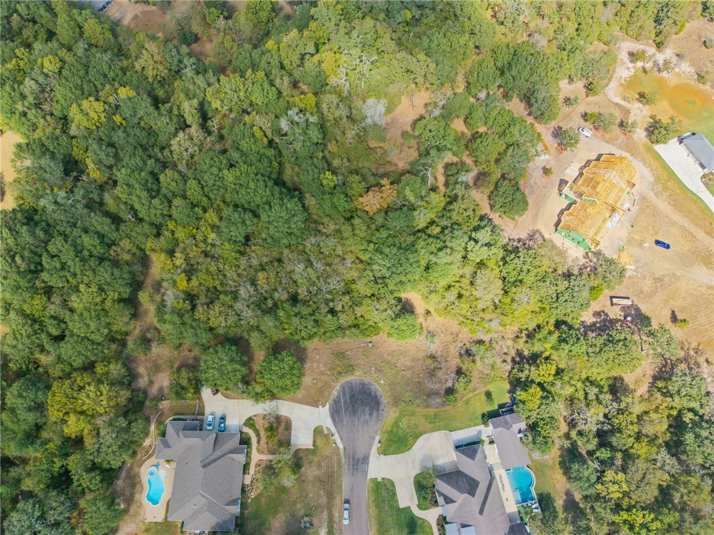 6488 Olivia Trail Bryan, TX 77808 - Photo 9 of 10 a close up of a plant in a garden