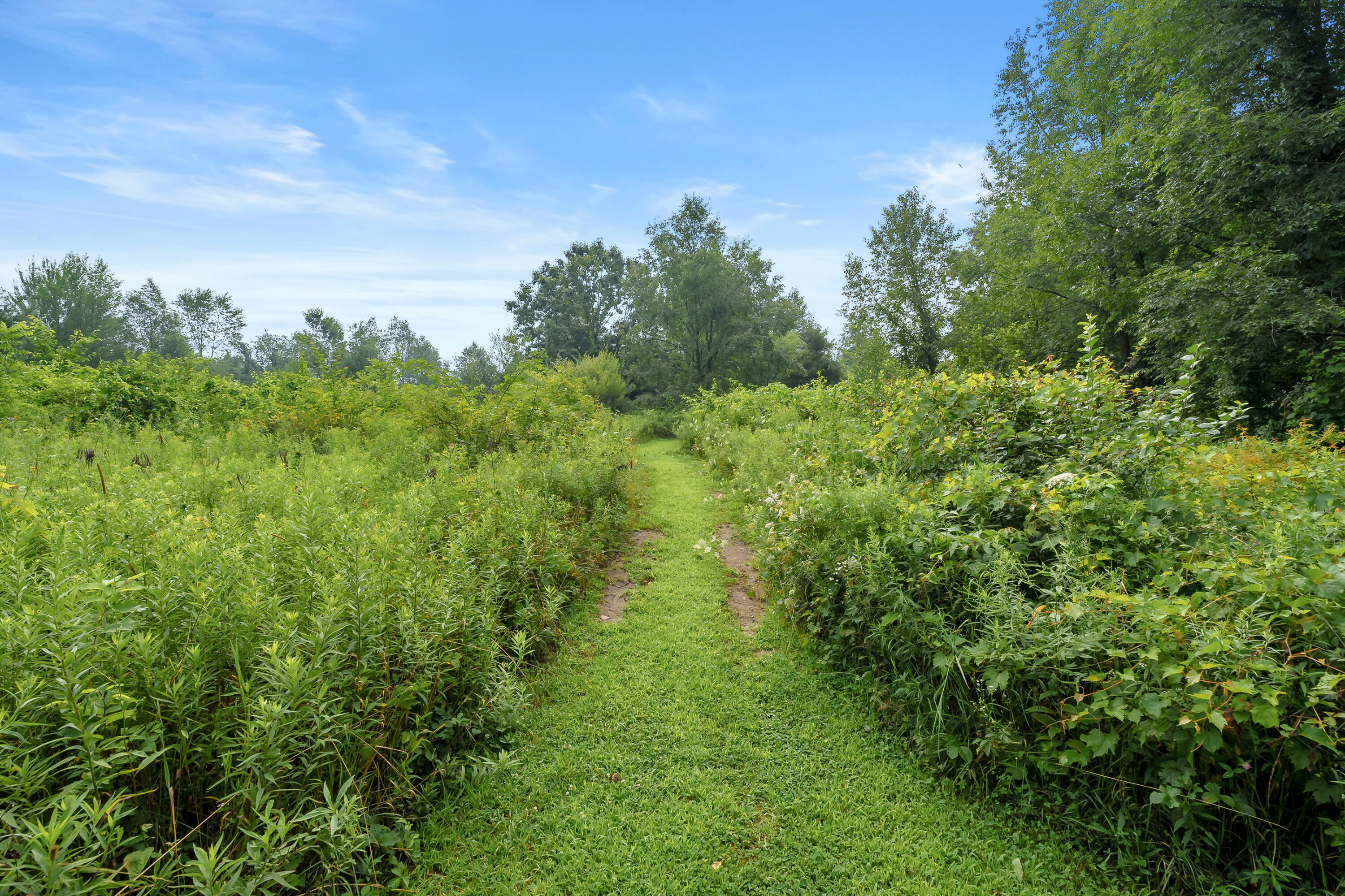 21254 Swafford Road Battle Creek, MI 49017 - Photo 40 of 53 Swafford Rd 21254 Battle Creek 49017-40