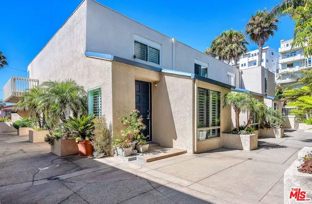 a potted plant sitting in front of a building