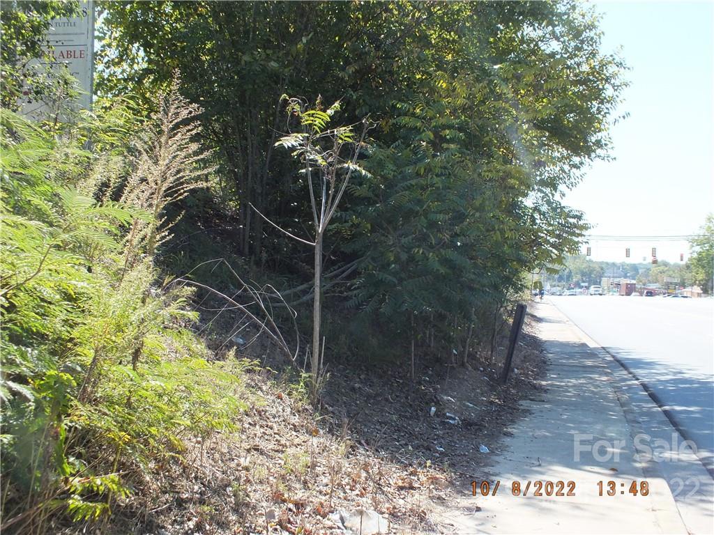 0 Hwy 200 Bypass Lancaster, SC 29720 - Photo 6 of 7 a picture of a tree