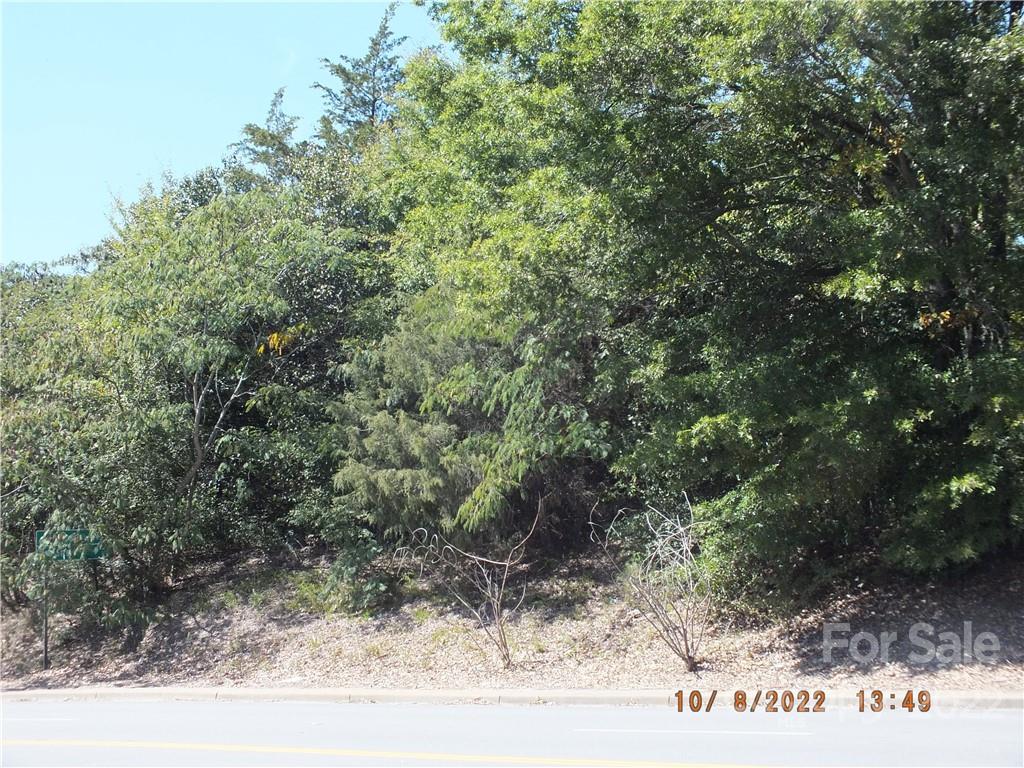 0 Hwy 200 Bypass Lancaster, SC 29720 - Photo 7 of 7 a view of a forest with trees in the background